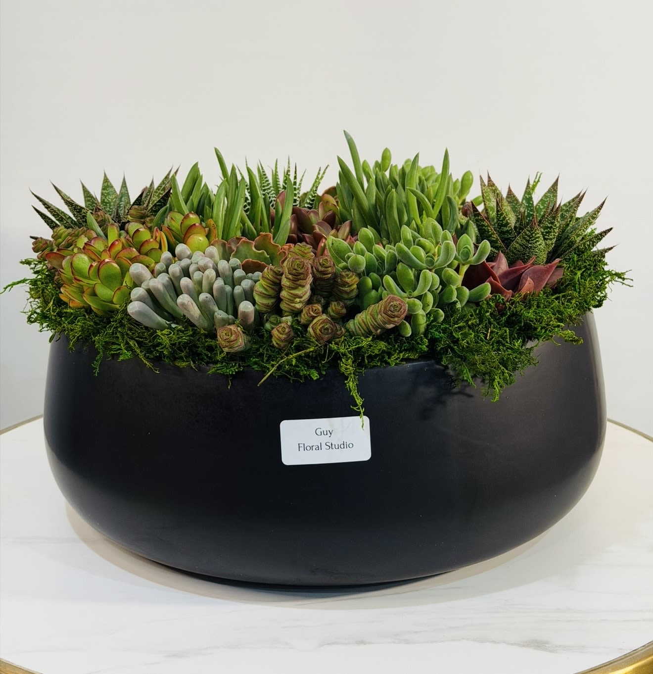 Premium Succulent Centerpiece  - Make a statement with this premium succulent centerpiece, exclusively crafted by Guy Floral Studio. Designed in a modern black ceramic bowl, this arrangement features a sophisticated mix of high end succulents, combining rich textures, sculptural shapes, and vibrant natural tones. This piece is all about presence full, balanced, and visually striking from every angle. The deep black container enhances the vivid greens and subtle hues of the succulents, creating a dramatic and elegant contrast that fits perfectly in luxury homes, offices, lobbies, or upscale events. Each arrangement is handcrafted with attention to detail, ensuring a refined and artistic composition that reflects the signature style of Guy Floral Studio. Succulents offer long lasting beauty with minimal maintenance, making this an ideal choice for clients looking for both luxury and practicality. We proudly offer same day delivery in Los Angeles, including Beverly Hills, Bel Air, West Hollywood, Hollywood Hills, Beverly Grove, Culver City, and Santa Monica. Every order is carefully prepared and delivered with precision and care. Product Dimensions: Height: 9 inches Width: 16 inches  Order now from Guy Floral Studio and experience modern luxury with reliable same day delivery.