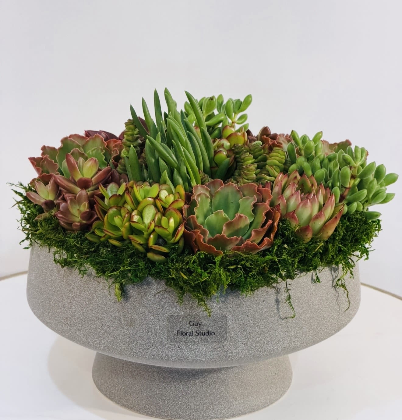 Modern Succulent Bowl Arrangement - Bring natural elegance into any space with this stunning modern succulent bowl arrangement by Guy Floral Studio. Designed in a premium ceramic container, this piece features a curated selection of high quality succulents in a variety of textures, colors, and shapes creating a clean, contemporary look that fits perfectly in any home or office. Succulents are known for their low maintenance nature and long lasting beauty, making this arrangement an ideal gift for birthdays, housewarmings, get well wishes, or just because. Each piece is carefully handcrafted to ensure balance, freshness, and a luxurious feel that represents the signature style of Guy Floral Studio. We proudly offer same day flower delivery throughout Los Angeles, including Beverly Hills, Bel Air, West Hollywood, Hollywood Hills, Beverly Grove, Culver City, and Santa Monica. Whether you’re sending a thoughtful gift or elevating your own space, this succulent arrangement delivers both style and longevity. Product Dimensions: Height: 9 inches Width: 13 inches  Order today from Guy Floral Studio and enjoy premium quality with fast, reliable same day delivery