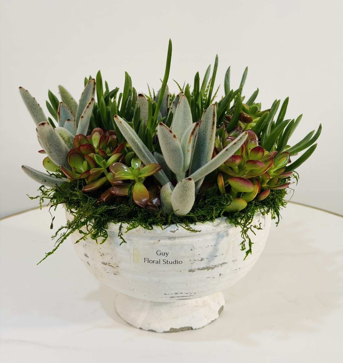 Rustic Succulent Garden Bowl - Bring warmth and natural elegance into any space with this compact rustic succulent garden, exclusively designed by Guy Floral Studio. This beautifully arranged piece features a curated selection of premium succulents, including soft, velvety textures and rich green tones with subtle red accents. Set in a textured ceramic bowl, this arrangement blends organic charm with modern design, creating a cozy yet refined aesthetic. Its smaller, versatile size makes it perfect for coffee tables, desks, bedside styling, or as a thoughtful and stylish gift. Each arrangement is handcrafted with attention to detail, ensuring balance, texture, and a natural flow that highlights the unique beauty of every succulent. Known for their durability and low maintenance, succulents offer long-lasting enjoyment and are a perfect alternative to traditional floral arrangements. Guy Floral Studio proudly offers same day delivery in Los Angeles, including Beverly Hills, Bel Air, West Hollywood, Hollywood Hills, Beverly Grove, Culver City, and Santa Monica. Every order is prepared with care and delivered to impress. Product Dimensions: Height: 9 inches Width: 10 inches  Order today from Guy Floral Studio and enjoy handcrafted design with reliable same day delivery.