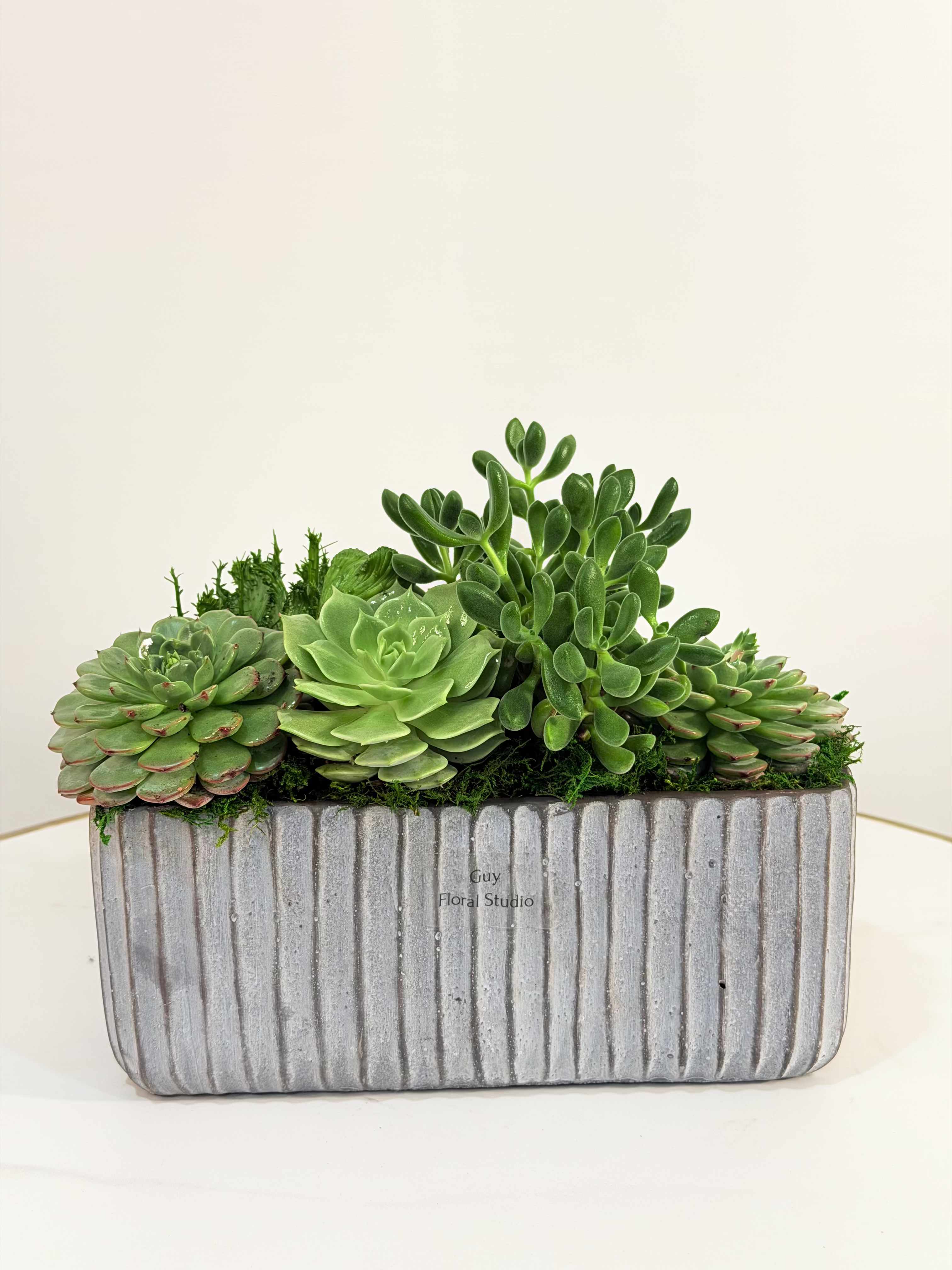 Modern Desk Succulent - Upgrade any workspace or home décor with the Modern Desk Succulent, exclusively designed by Guy Floral Studio. This elegant arrangement features a curated selection of premium succulents, thoughtfully arranged in a contemporary rectangular ceramic planter. Designed with clean lines and a compact structure, this piece is perfect for desks, office environments, coffee tables, or small living spaces. The combination of vibrant green tones and unique succulent textures creates a fresh, modern look that enhances any setting without overwhelming the space. Each arrangement is handcrafted with precision to ensure balance, beauty, and long lasting quality. Succulents are known for their durability and minimal care requirements, making this an ideal gift for busy professionals, clients, or anyone who appreciates modern plant design. Guy Floral Studio proudly offers same day delivery in Los Angeles, including Beverly Hills, Bel Air, West Hollywood, Hollywood Hills, Beverly Grove, Culver City, and Santa Monica. Every order is carefully prepared and delivered with attention to detail and premium presentation. Product Dimensions: Height: 8 inches Width: 10 inches  Order the Modern Desk Succulent today from Guy Floral Studio and enjoy a perfect blend of style, simplicity, and same day convenience.