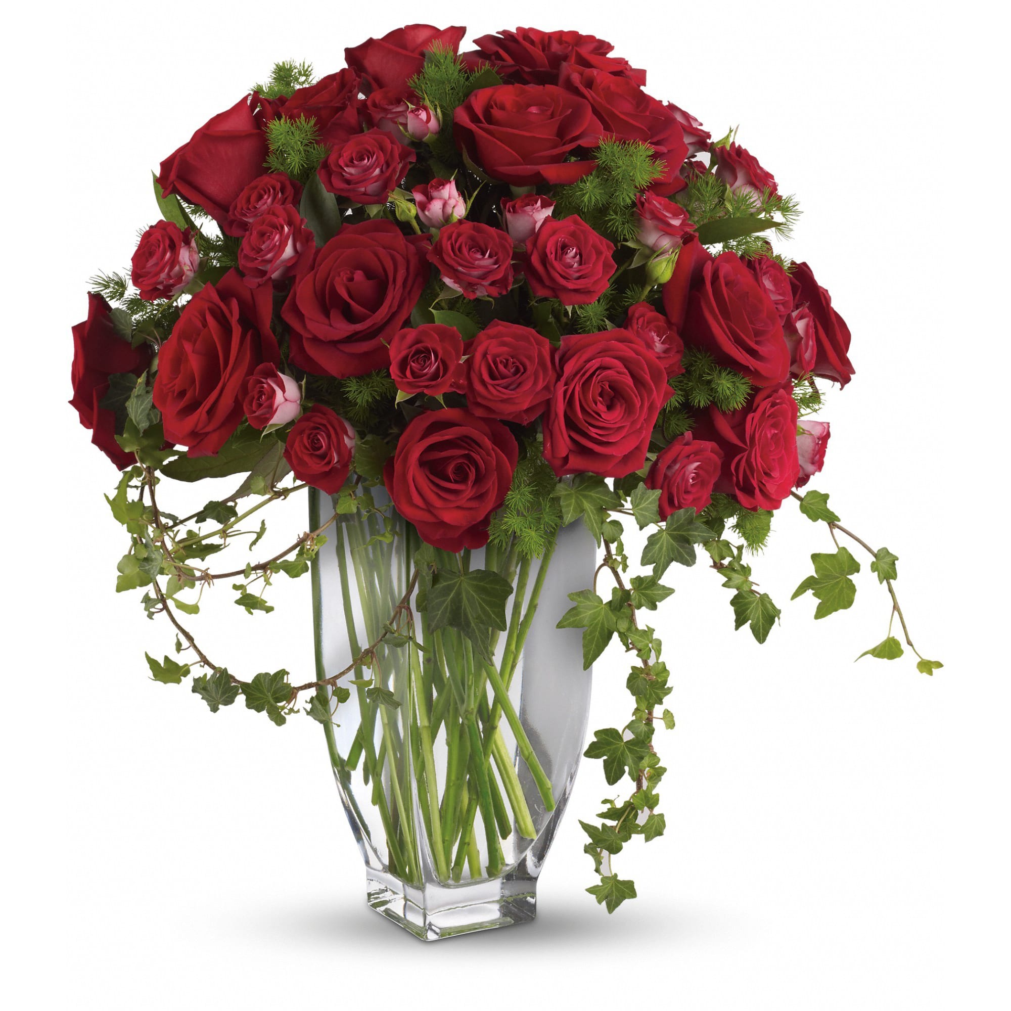 Red roses arranged in a clear glass vase with trailing ivy
