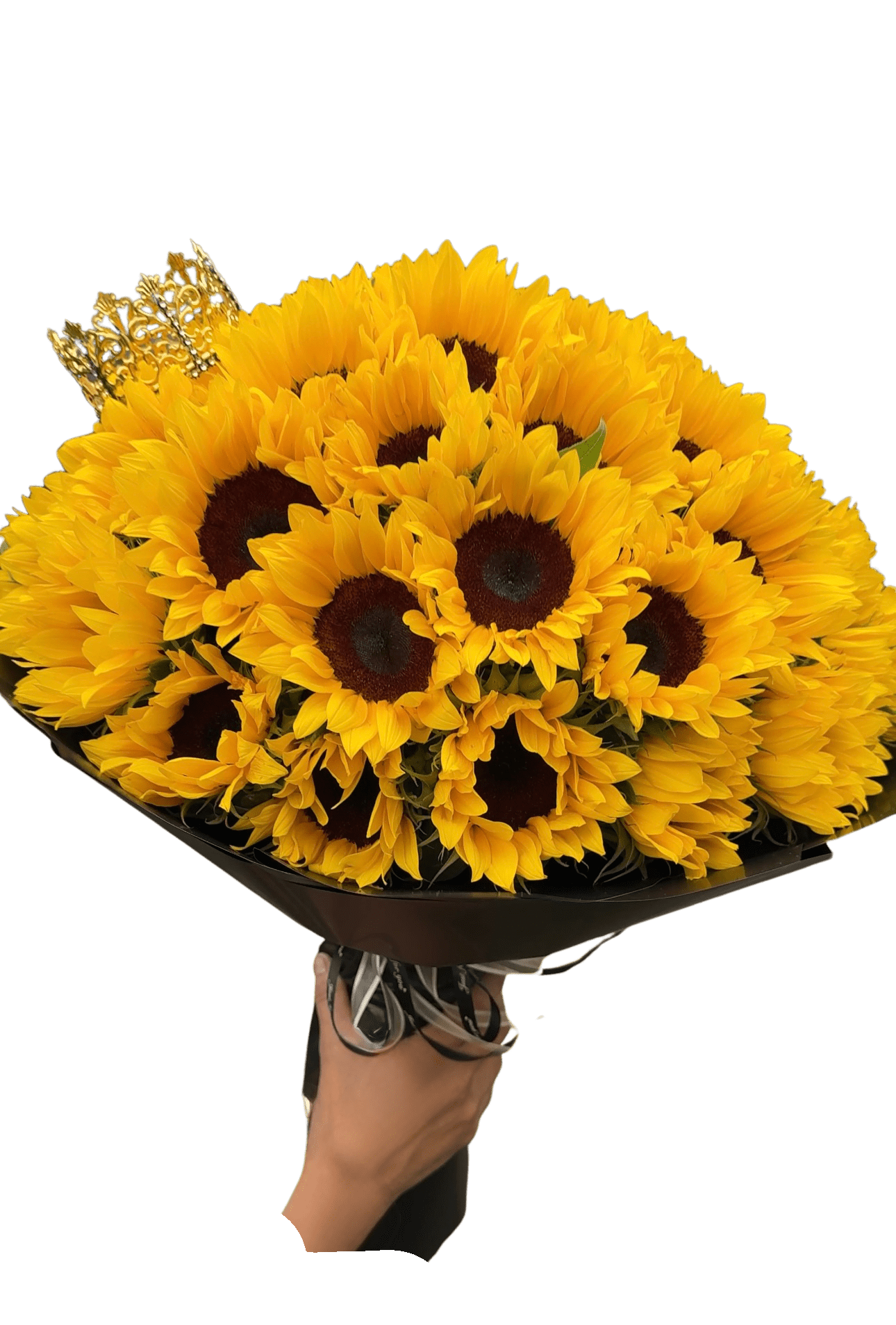 Sun Buchón - A bold cluster of bright yellow sunflowers with dark centers makes an immediate sunny statement in this sunflower bouquet for birthdays, congratulations, or a cheerful everyday gift. The high-contrast pairing of golden petals against sleek black wrapping paper gives the arrangement a modern, celebratory feel-perfect for the person you want to make feel seen and uplifted.  Tightly grouped sunflowers are wrapped in black paper and tied with a ribbon for a polished finish; a small decorative gold crown pick peeks out from the back for a subtle, joyful accent. The bouquet includes 50 sunflowers, creating a generous, eye-catching mass of color that looks great handed to the recipient or set as a bright centerpiece.