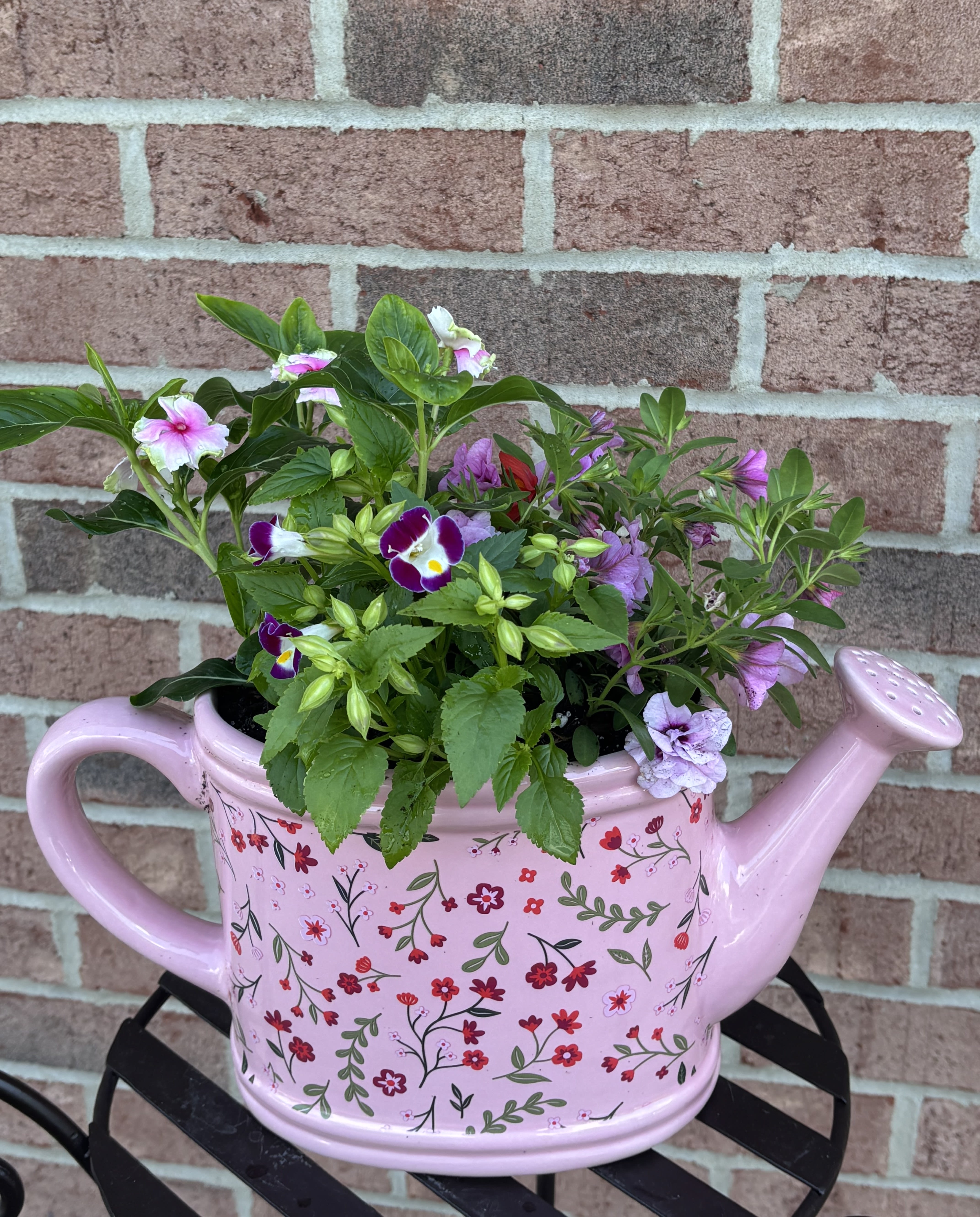 A Sprinkle of Love in Pink - This lovely pink ceramic "watering can" planter is adorned with burgundy, red, pink and green florals and is filled with 4 locally grown annuals, some unique and some traditional offerings.  This item is crafted in house and is delivered with a coordinating bow to enhance its beauty.  Planter alone is 7" H and 14" wide.  