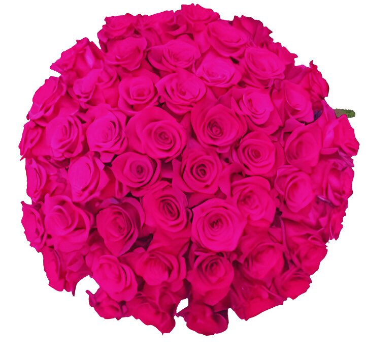 The Luxe Romance - 50 Long-Stem Pink Roses by Donya's Florals - The Luxe Romance - 50 long-stem roses, enhanced greenery (eucalyptus, fern), luxury glass vase, includes floral preservative &amp; greeting card. 