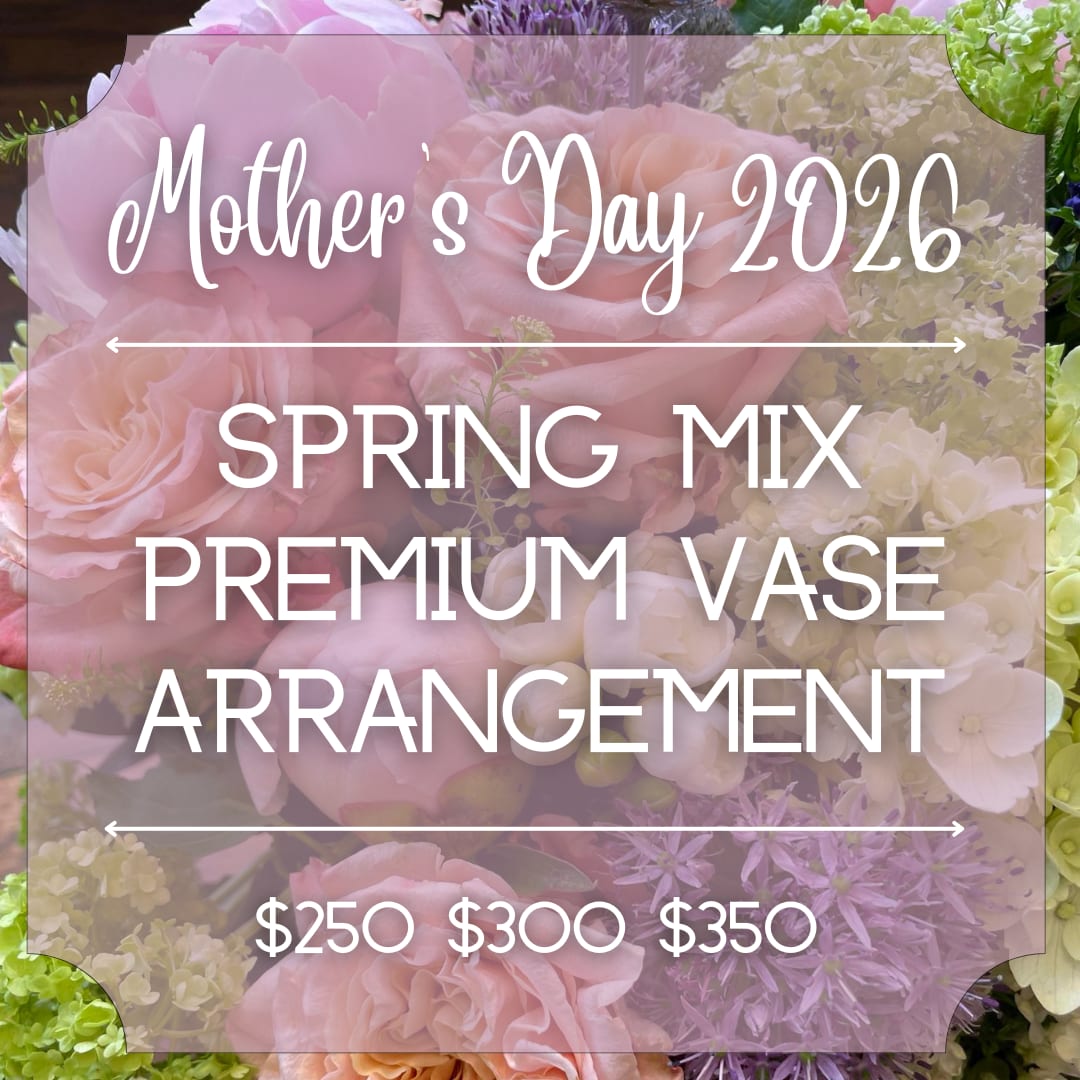 Mother's Day 2026 Spring Mix Premium Vase - Beautiful mix of allium, chrysanthemum, daffodil, thistle, hydrangea, lilac, lisianthus, muscari, forget me not, tweedia, peony, ranunculus, roses, scabiosa, stock, sweet pea, green dragon, veronica, viburnum, etc.  