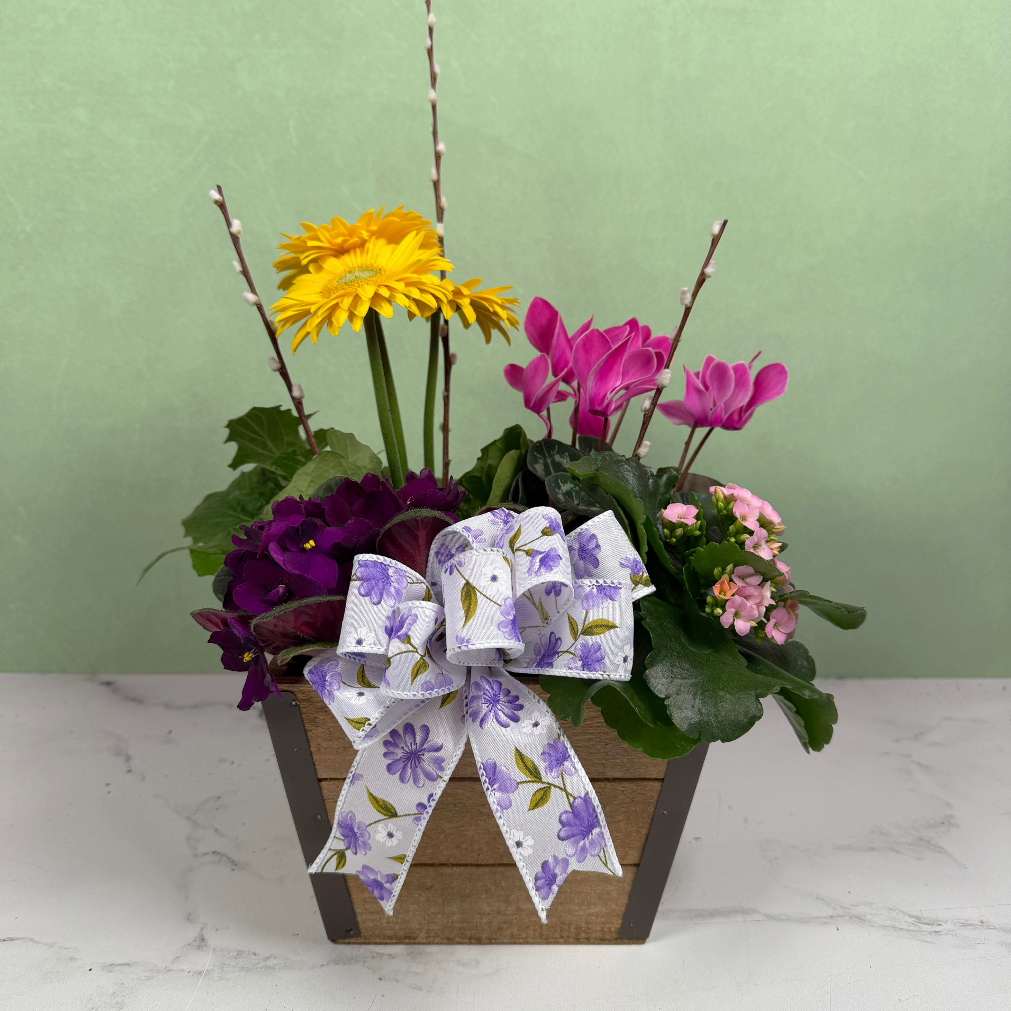 Flower Patch Paradise Dish Garden - Our Flower Patch Paradise is a lively dish garden that bursts with color, making it perfect as a birthday bouquet, thank-you gift, or cheerful housewarming arrangement. This dish garden brings together a variety of flowering plants such as gerbera daisies, cyclamen, African violets,  kalanchoe, and more in vivid colors, planted in a rustic wooden box planter so the person you're gifting will feel delight from every angle.  The compact design layers bright colors at different heights and densities for a visually appealing display, all set on a dense bed of dark green foliage. Pussy willow branches add vertical texture and the piece is finished with a large white ribbon printed with lavender florals for a handcrafted, gift-ready presentation.  Ideal for brightening a kitchen counter, office desk or entry table, this dish garden reads as an everyday celebratory gift that makes someone feel seen and cheered. Regular watering and indirect light will keep the mixed plants looking their best. Plants and colors may vary based on availability. 