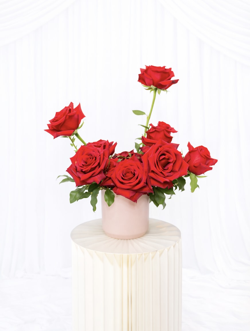Red roses arranged in a pink vase