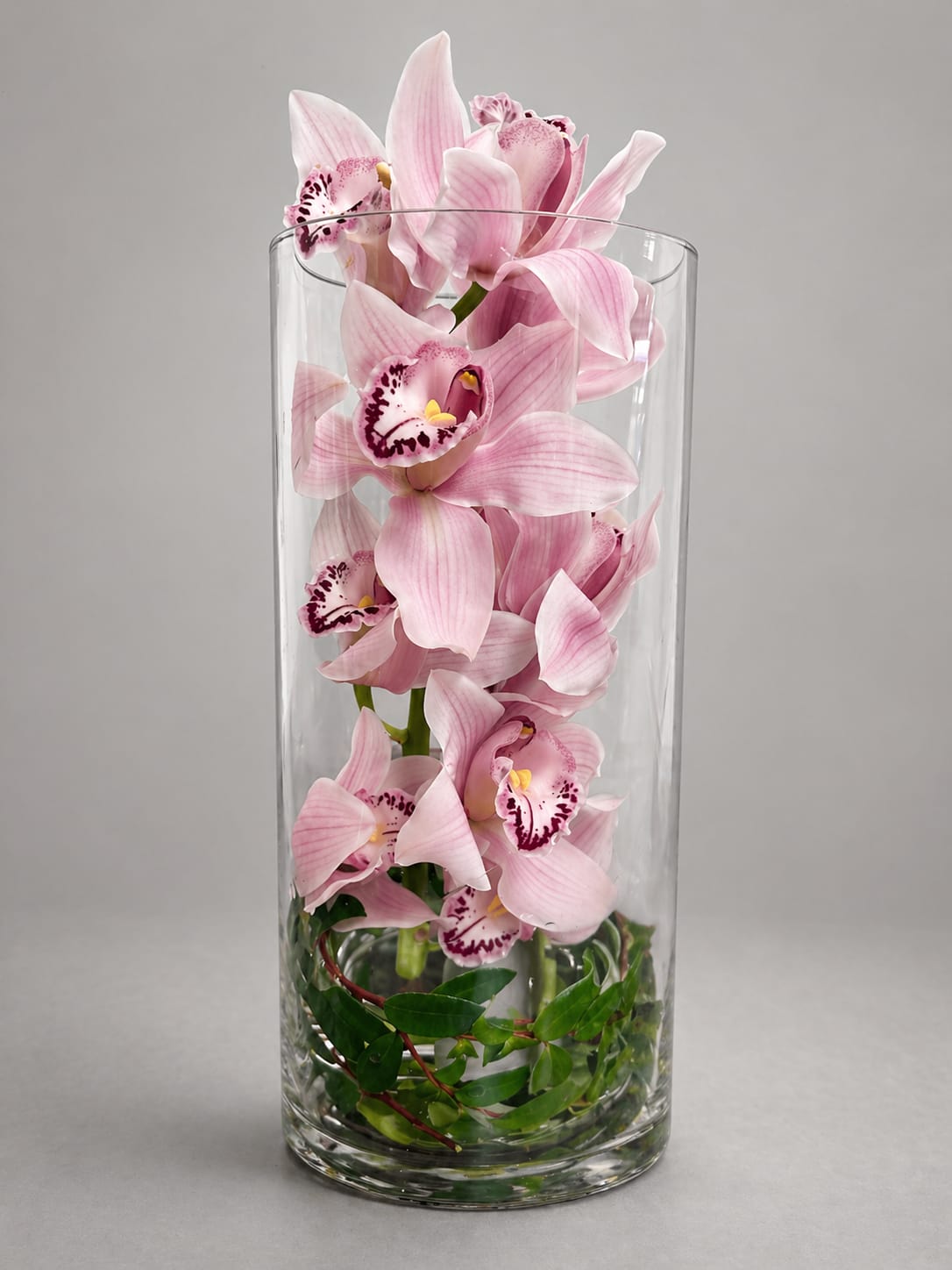     Timeless Orchid - A refined and modern design featuring cascading blush orchids beautifully displayed in a clear glass cylinder. Clean, elegant, and effortlessly sophisticated, this piece is a timeless way to celebrate Mom.