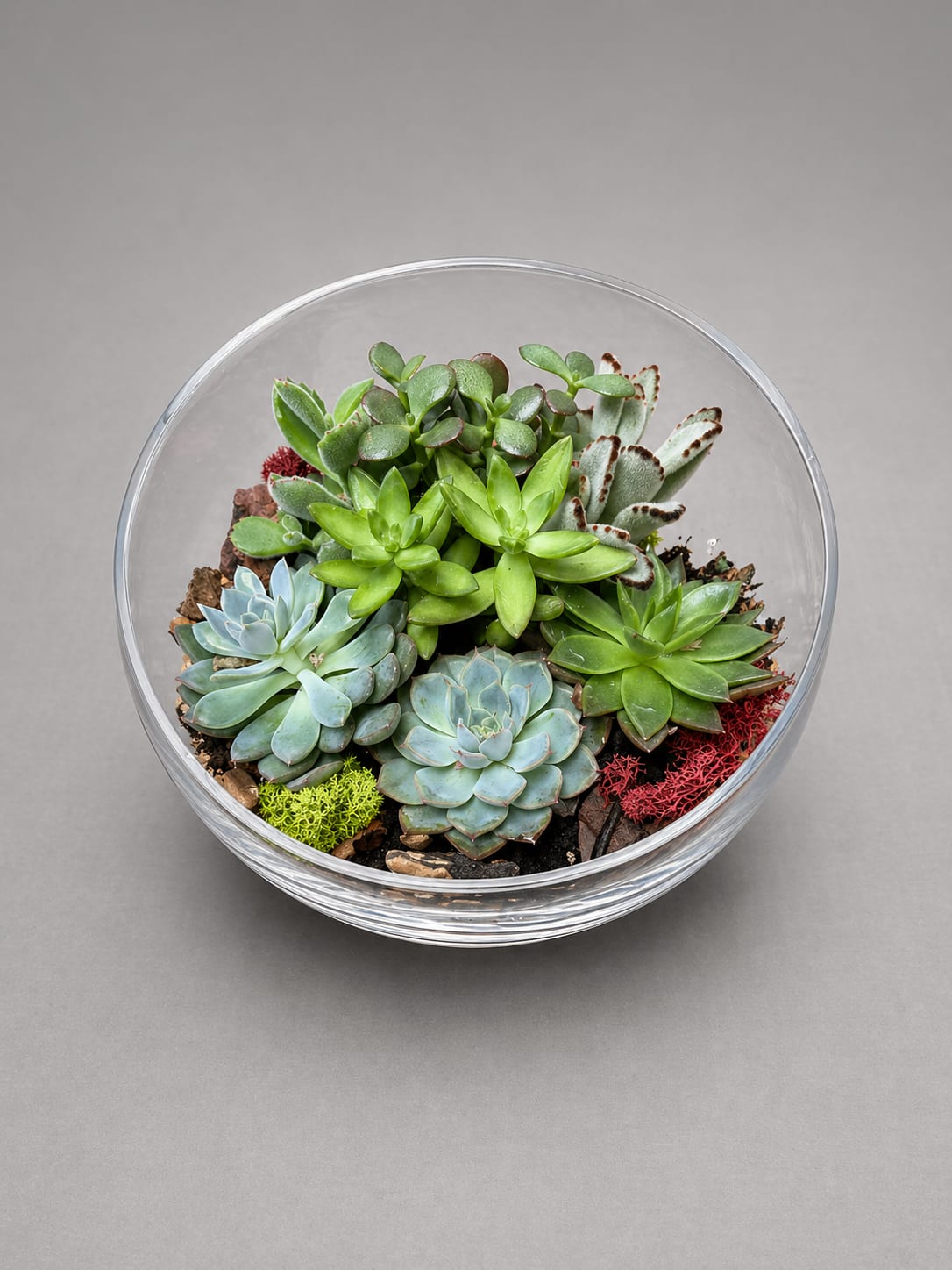     Succulent Serenity - A modern glass bowl filled with a curated mix of lush succulents, designed with natural textures and soft greenery. Easy to care for and long-lasting, this piece brings a touch of calm and natural beauty to any space.