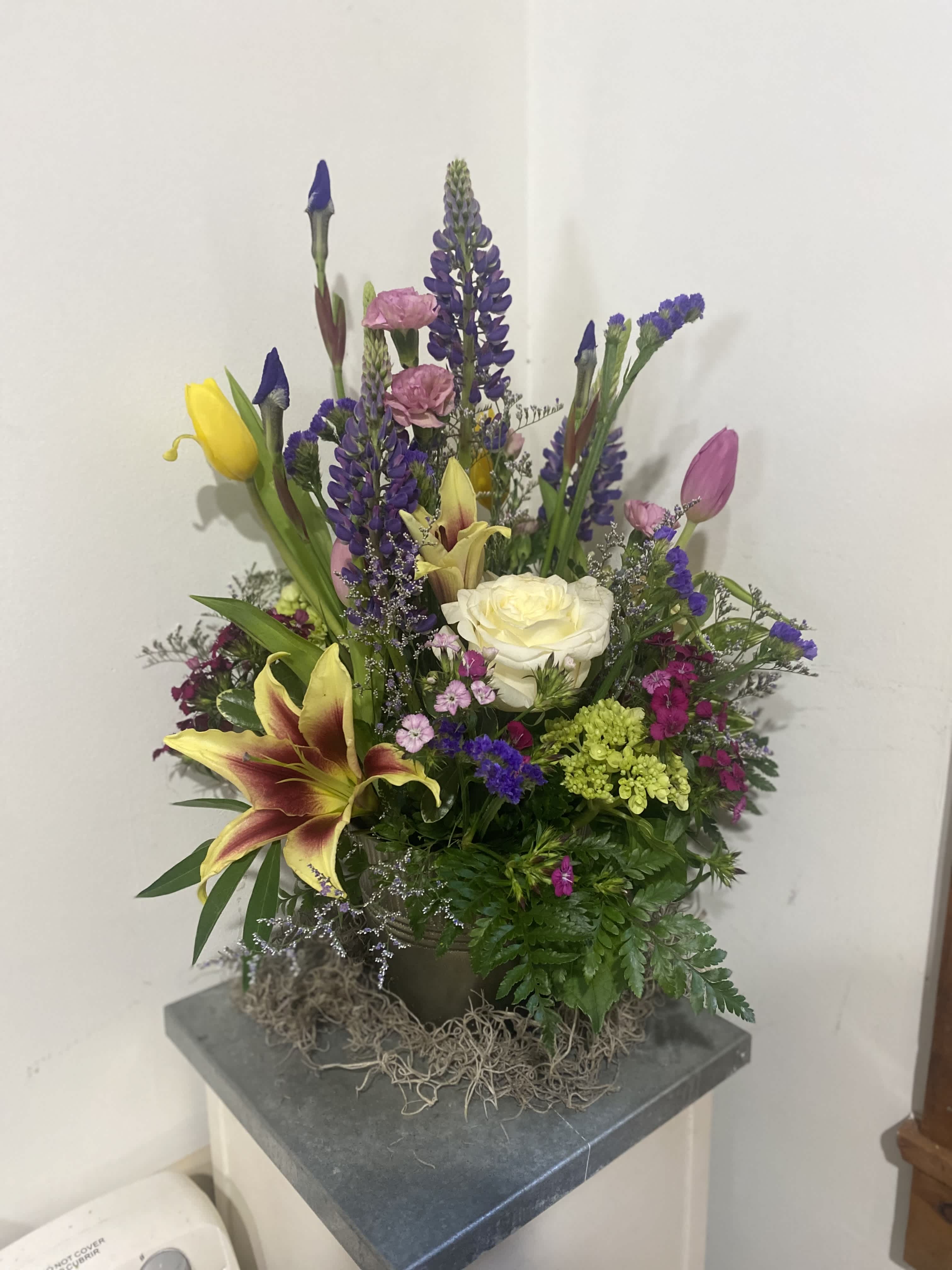 Designer's Choice - Bold Spring - A collection of seasonal spring flowers in bold garden colors! Perfect for celebrating the bold and brave matriarchs in our life or even Just Because!