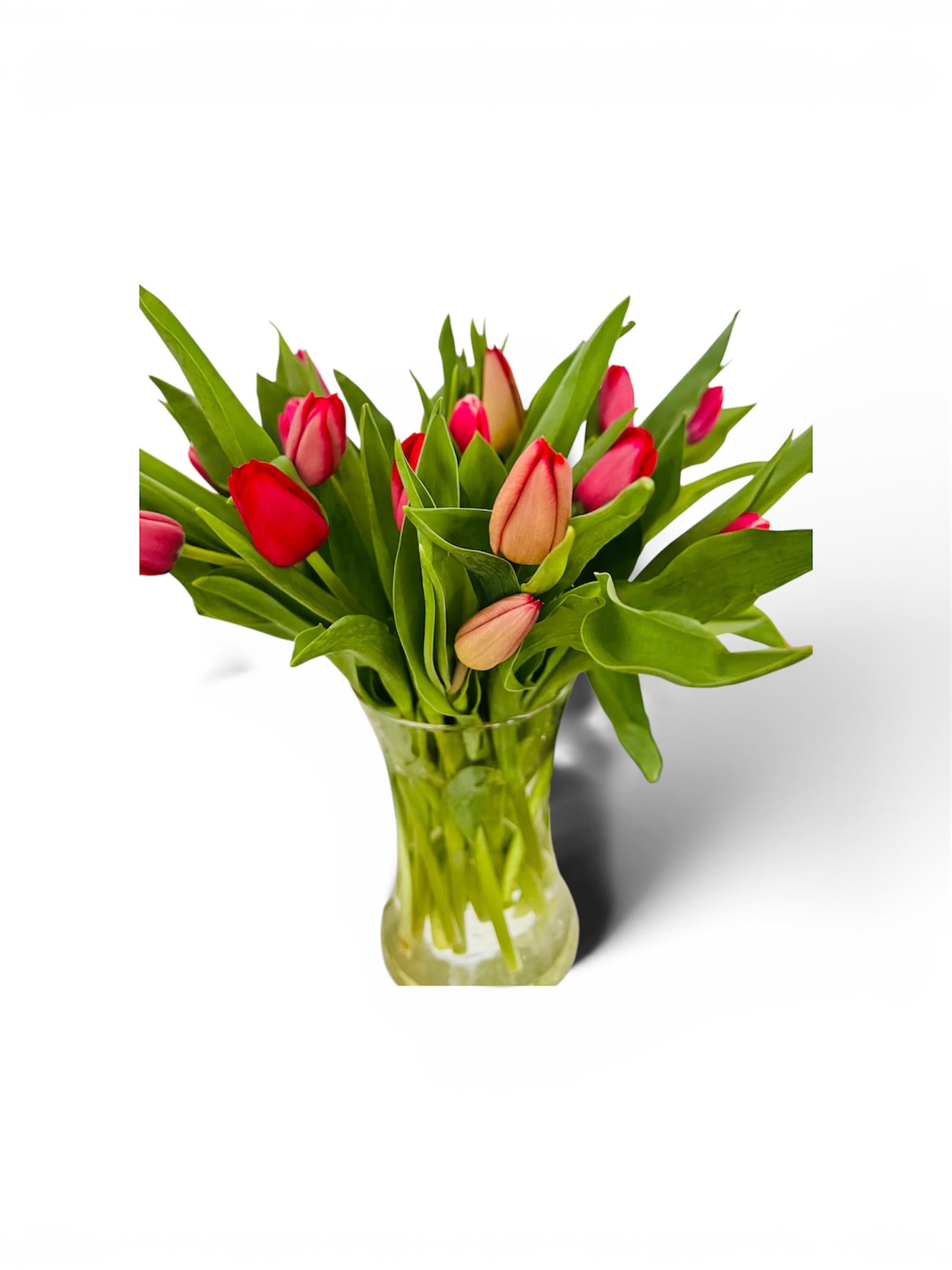 Mother’s Day! Vase of Tulips - A lively cluster of tulips in pinks, reds and soft peach brings an immediate lift-perfect as a spring bouquet or casual romantic gesture. This flower arrangement of tulips for everyday gifting and spring celebrations presents mostly closed blooms for a fresh, just-cut look that feels cheerful without fuss, so the person you're sending it to will feel noticed and delighted.  The tulips are gathered with broad green leaves in a simple clear glass vase that highlights the upright silhouette and bright petal colors. The compact, loose cluster sits pleasantly on a table or desk and arrives ready to display; stems are trimmed and arranged to showcase the contrast between the vivid blooms and glossy foliage. Care is easy: change the water every couple of days and trim stems occasionally to help the tulips open and last longer.