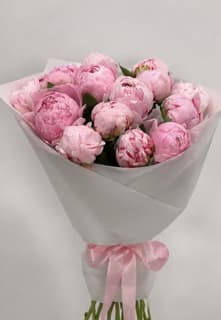  Premium Peony Bouquet - A lush cluster of soft pink peonies takes center stage in this Premium Peony Bouquet - a romantic birthday bouquet and Mother's Day gift that reads as delicate, feminine, and unmistakably special. The tightly arranged, full-rounded blooms include petals with subtle deeper-pink marbling that catch the eye and create gentle depth, so the person you're thinking of will feel truly celebrated the moment they see it.  Carefully wrapped in smooth white paper and tied with a pale pink satin ribbon, the bouquet presents clean, springtime elegance perfect for anniversaries or everyday gifting. Colors are a soothing mix of pink, white, and fresh green foliage; the dense peony heads offer a soft, fragrant focal point and a tactile, luxurious feel. For best longevity, place the stems in fresh water upon receipt and trim stems at an angle - a simple step that helps these premium peonies stay vibrant for days.