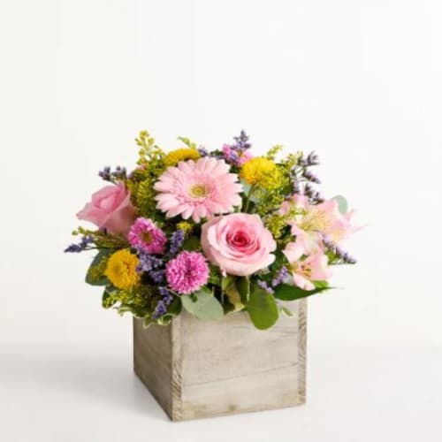 Spring Sentiment   -  Pet Friendly? No This arrangement includes eucalyptus and chrysanthemums/daisies, which are not safe for cats and dogs per ASPCA guidance. Keep out of reach; avoid homes with curious household pets.   Human Allergy Note Daisies and chrysanthemums can carry pollen. If sensitive, keep the arrangement away from bedding and ventilate the room.   Care &amp; Longevity This box uses floral foam. Add fresh water to the foam every 1–2 days to keep it damp, not soaked. Keep out of direct sun, heat, and vents. Remove fading blooms as needed to extend freshness.   Best Occasions &amp; Situations  Birthday  Thinking of you  Flower crowns / Just-because gifting  I’m sorry  Get well/comfort  Congratulations flower  Just because  Mother's day  Why Customers Love It Gift-ready presentation in a reusable wood box Color balance of pinks and yellows feels happy without being loud Versatile size works on desks, nightstands, or entry tables Long-lasting mix with alstroemeria and pompons for extended enjoyment