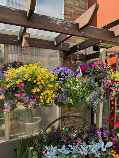 Blooming Hanging Baskets - Seasonal Flowers. Call in Store for pricing, availability, and color options.