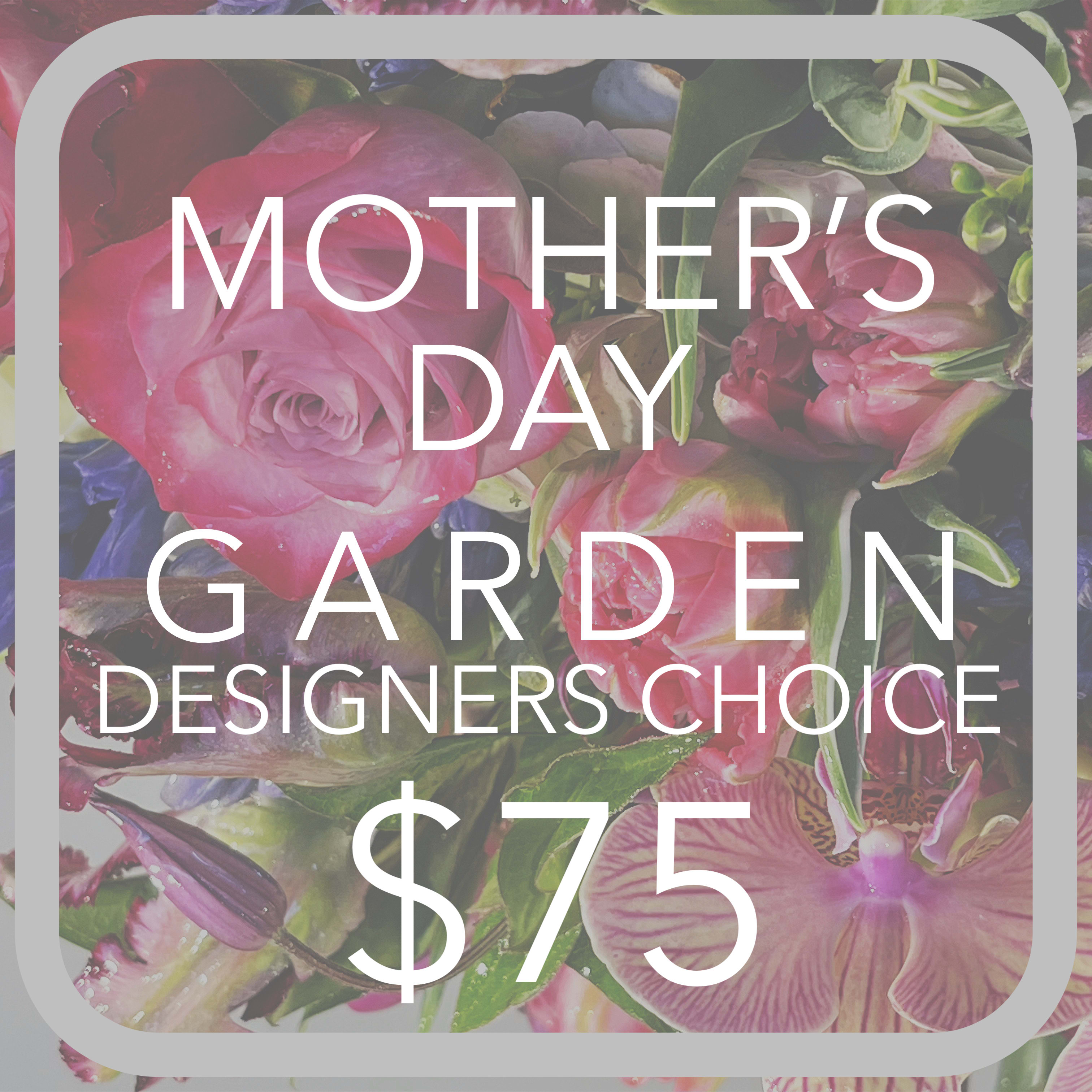 MOTHERS DAY GARDEN  - English garden design using a variety of in-season blooms. Each one will be unique, fresh and inspired by a traditional English garden arrangement.
