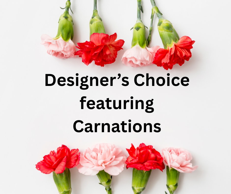 Carnation Arrangement - Designer's Choice featuring long lasting carnations. Our designers will create a one of a kind mixed floral arrangement that is sure to make your Mom feel special. 