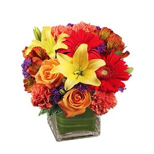 Brighten Your Day - Brighten their day with this cube of colorful fresh cut flowers *** all Cube arrangement are short compact arrangements ****
