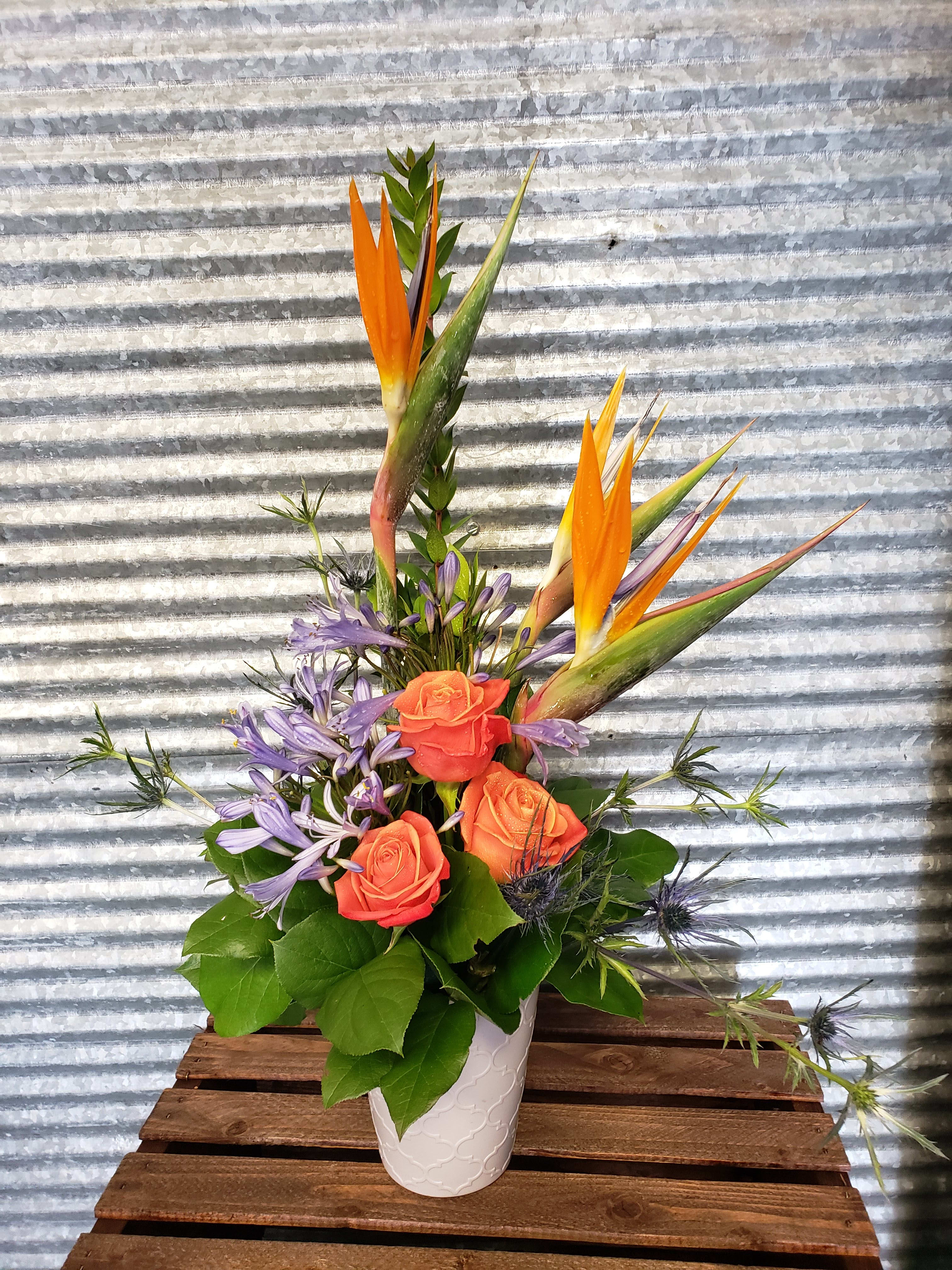 Birds from the Tropics  - Dreaming of a Tropical getaway? Send this to feel that way at home or work. 