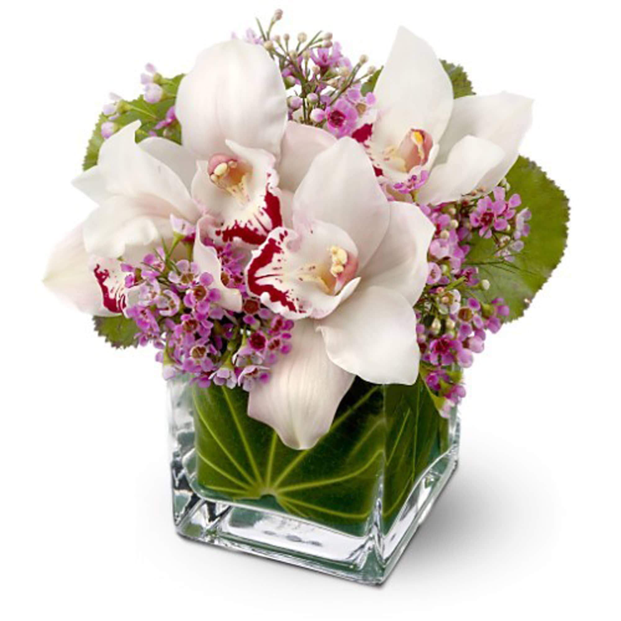 White orchids and purple filler flowers in a square glass vase