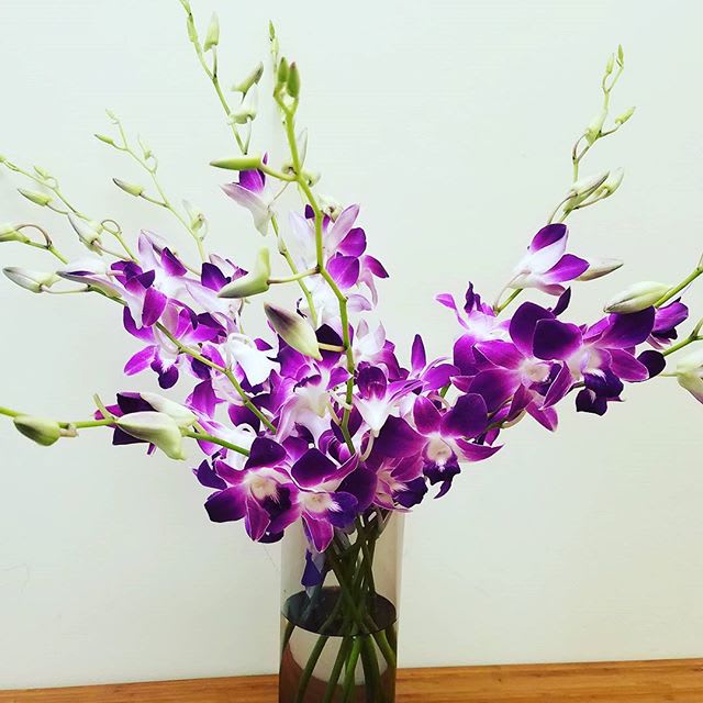 Purple Orchid arrangement - 10 stems of beautiful Purple Dendrobium orchids artfully arranged in a vase. We do need about 24 hour lead time. Not always in stock for same day delivery. 