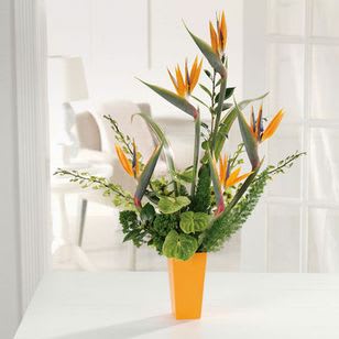 Paradise Pleasures - Bird of Paradise soar in this tropical vase arrangement, also featuring anthuriums and dendrobium orchids