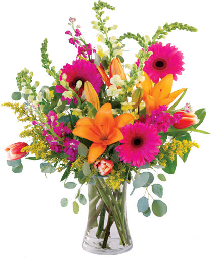 Lively Lilies and Gerbera Daisies by Flower shop network   - Brighten up anyone's day with this colorful mix of Lilies and Gerbera Daisies, Tulips are seasonal not available June - September. will be Substituted with other seasonal flowers   