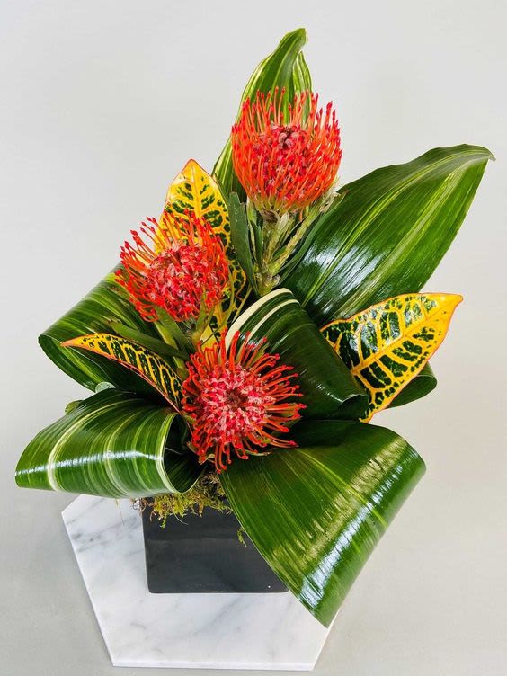 Tropical Trio  - Pincushion Protea with Tropical Leaves  