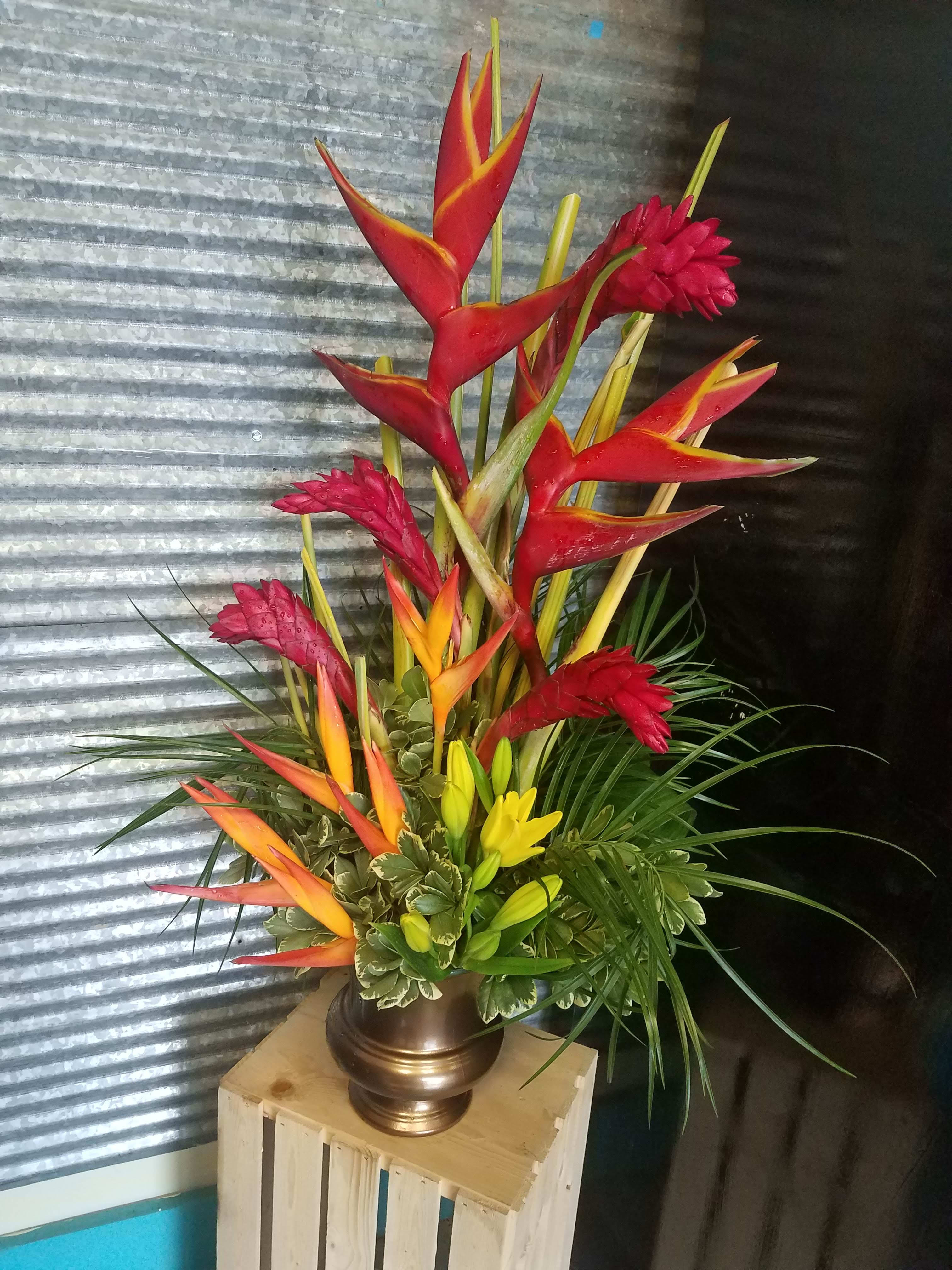 Terrific Tropical  - Can't send them to the Tropics? You can send them some tropical flowers 