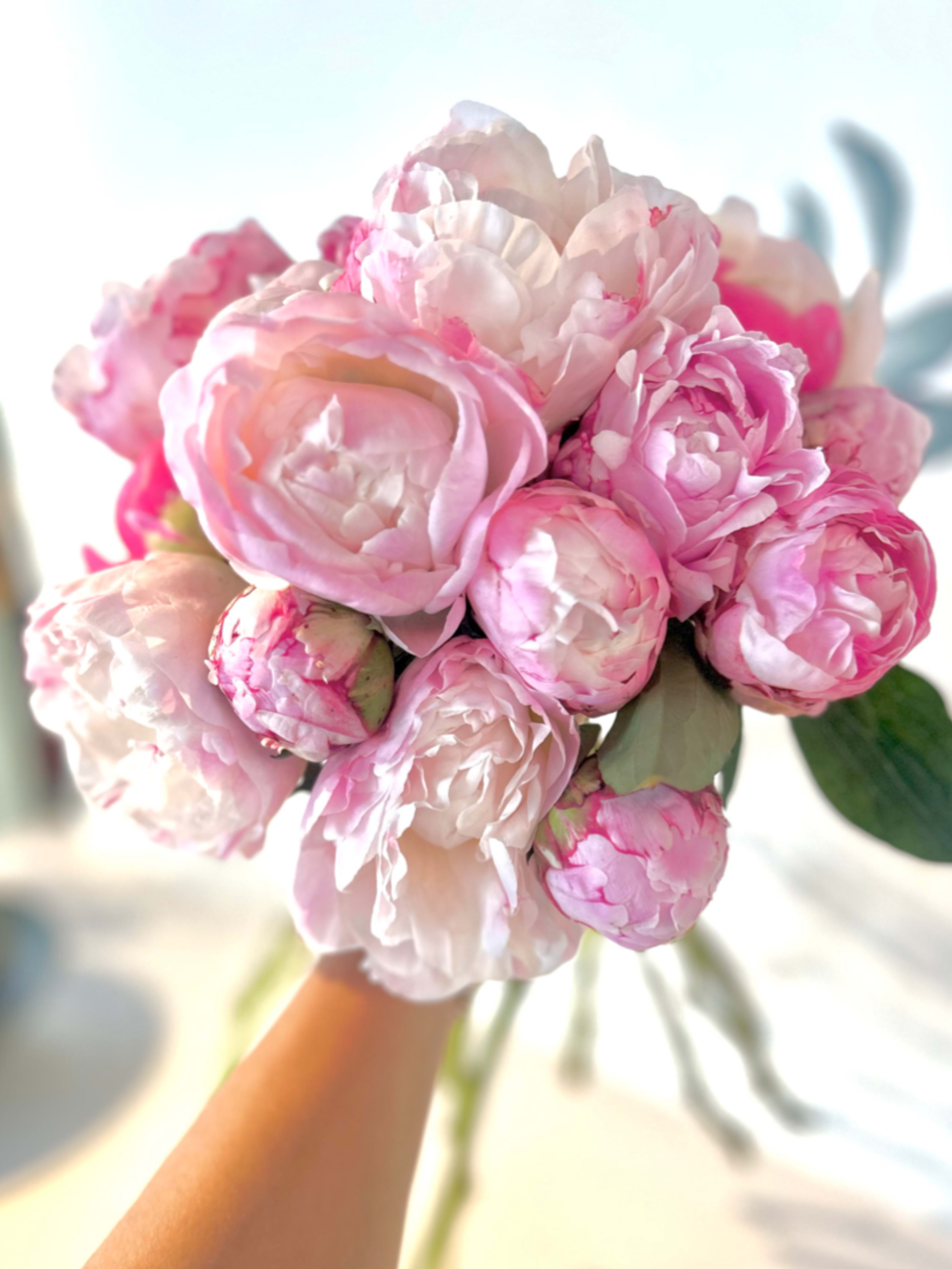 The Pink Peony! - Lush pink peony wrapped bouquet style or vased (premium version). We use 18 stems of fresh peony in the standard size and 25 in the deluxe.  It's peony pretty!!! Note- we ask for a day's notice to source the freshest peony!