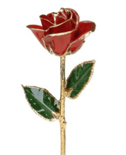 Single red rose with gold-edged petals and green leaves