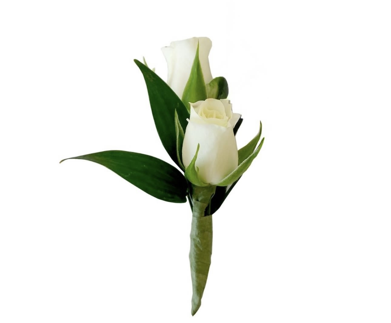 White rose boutonniere with dark green leaves