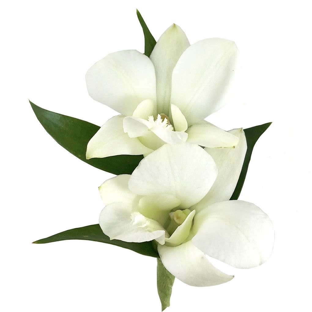 White orchid corsage with green leaves