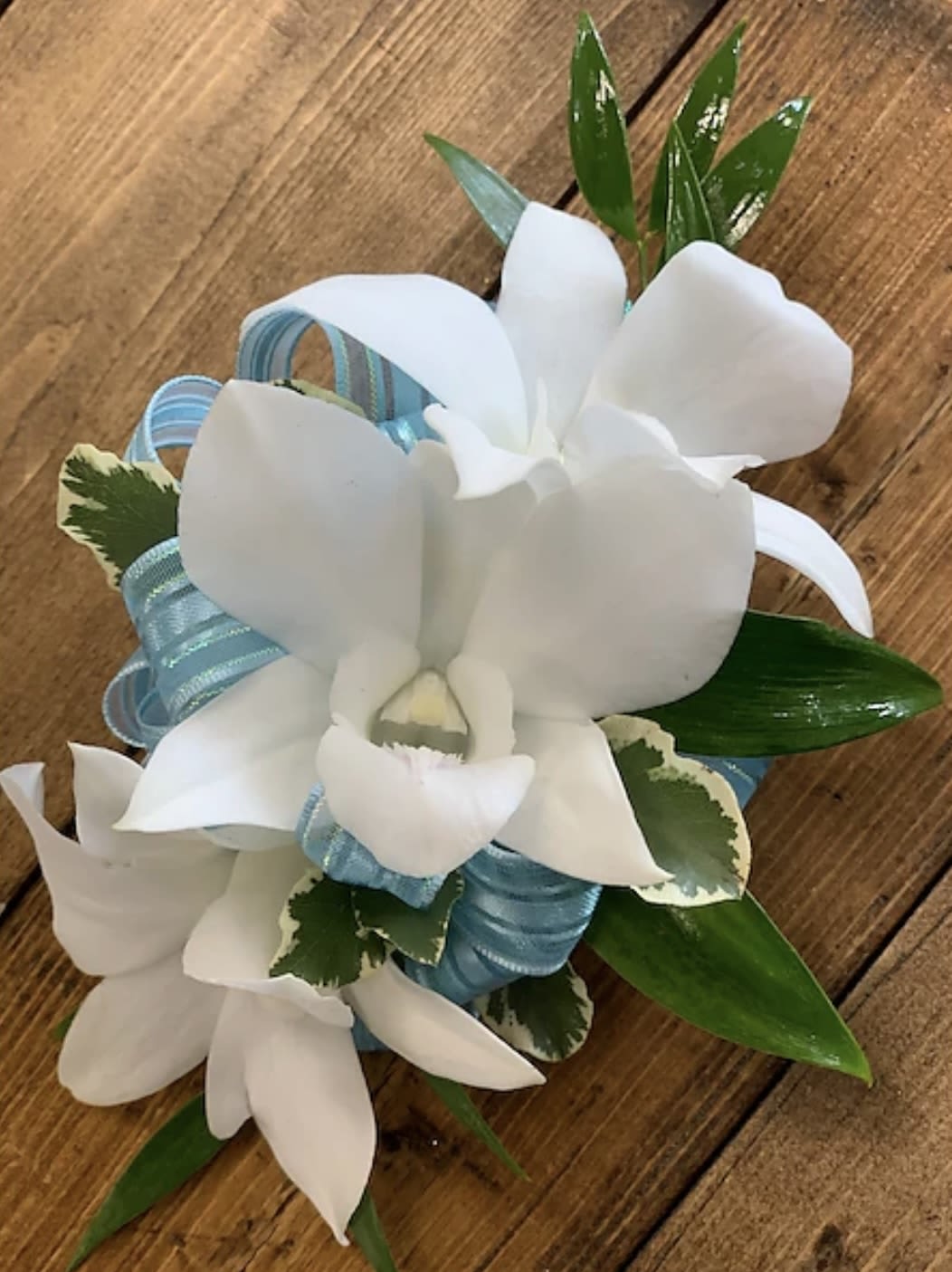 White orchid corsage with blue ribbon and green leaves