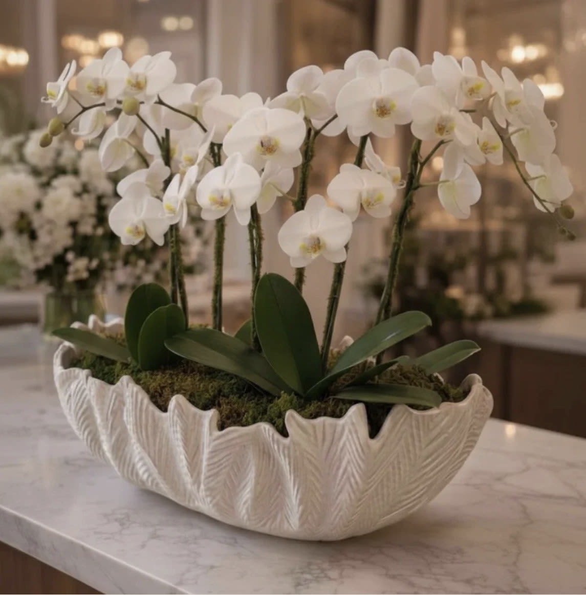 The Orchid Atelier  - White phalaenopsis orchids arching above a low, textured ceramic bowl make a quietly modern statement - perfect as a housewarming gift, sympathy arrangement, or a thoughtful way to say thank you. The airy white blooms and graceful stems create a serene focal point that will make the person you're thinking of feel calmly seen and comforted.  Several stems of white phalaenopsis rise from a moss-covered base, set against broad, dark green leaves for elegant contrast. The arrangement sits in a low, wide ceramic bowl planter with a subtle texture, designed for everyday display in a home or office. Its neutral white-and-green palette and contemporary silhouette keep the look refined and adaptable across occasions; minimal care (indirect light and moderate watering to keep the moss and roots healthy) will help the orchids last longer.