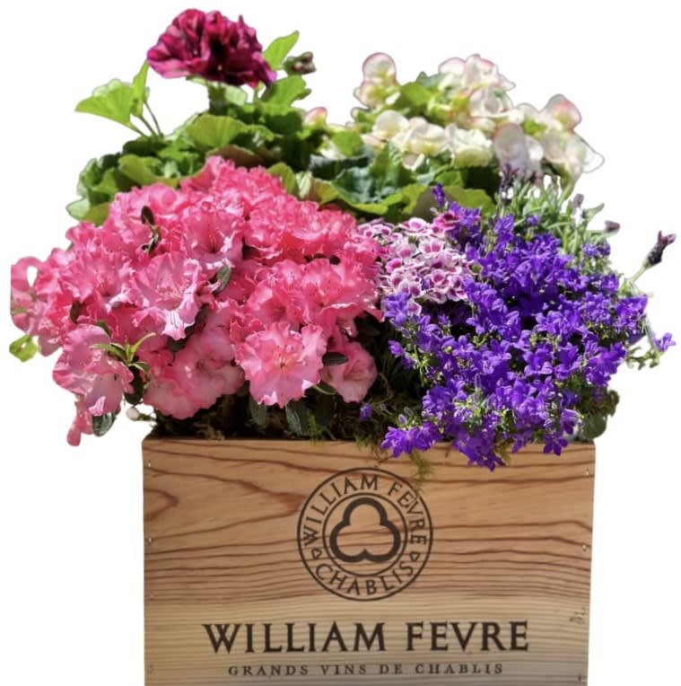 Mixed pink and purple flowering plants arranged in a wooden wine crate box