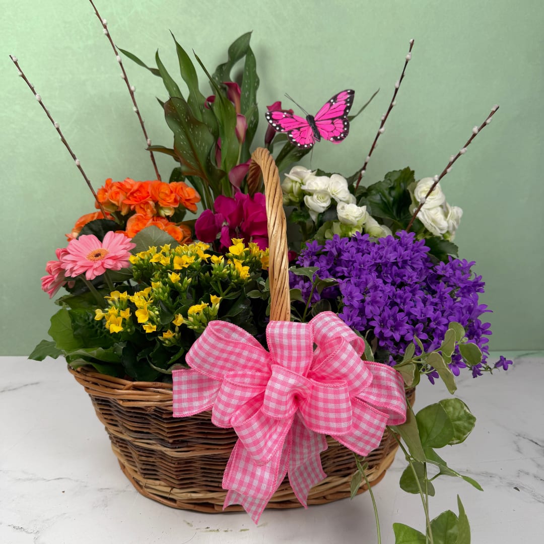 Gardener's Bounty - A cheerful woven basket overflowing with bright springtime color, this garden in a wicker basket makes a joyful birthday bouquet, thank-you gift, or seasonal surprise for someone who loves a garden-fresh look. The pink gingham ribbon and decorative pink butterfly pick give the piece a playful, gift-like vibe that will make the recipient feel noticed and celebrated from the moment it arrives.  Packed with mixed blooming plants in colors like pinks, purples, whites, yellows, oranges and reds, the composition features the freshest plants that we have available, meaning each garden will be uniquely special and full of the liveliest, vibrant blooms. Tall leafy stems and a few taller accent blooms rise from the center while trailing greenery spills over the basket edge, creating a layered, abundant texture. The shallow woven basket and large pink gingham bow complete the casual, garden-inspired presentation.  Perfect for birthdays, thank-you gestures, or any springtime celebration, this arrangement reads as both decorative and heartfelt-the kind of gift that brightens a room and lifts someone's spirits. To keep blooms fresh, place them in indirect light and refresh the water as needed if the soil feels light and dry.  NOTE: Plants and Basket Color/Variety will vary depending on availability. We will pick the nicest plants and basket that we have to create a perfect composition for you.