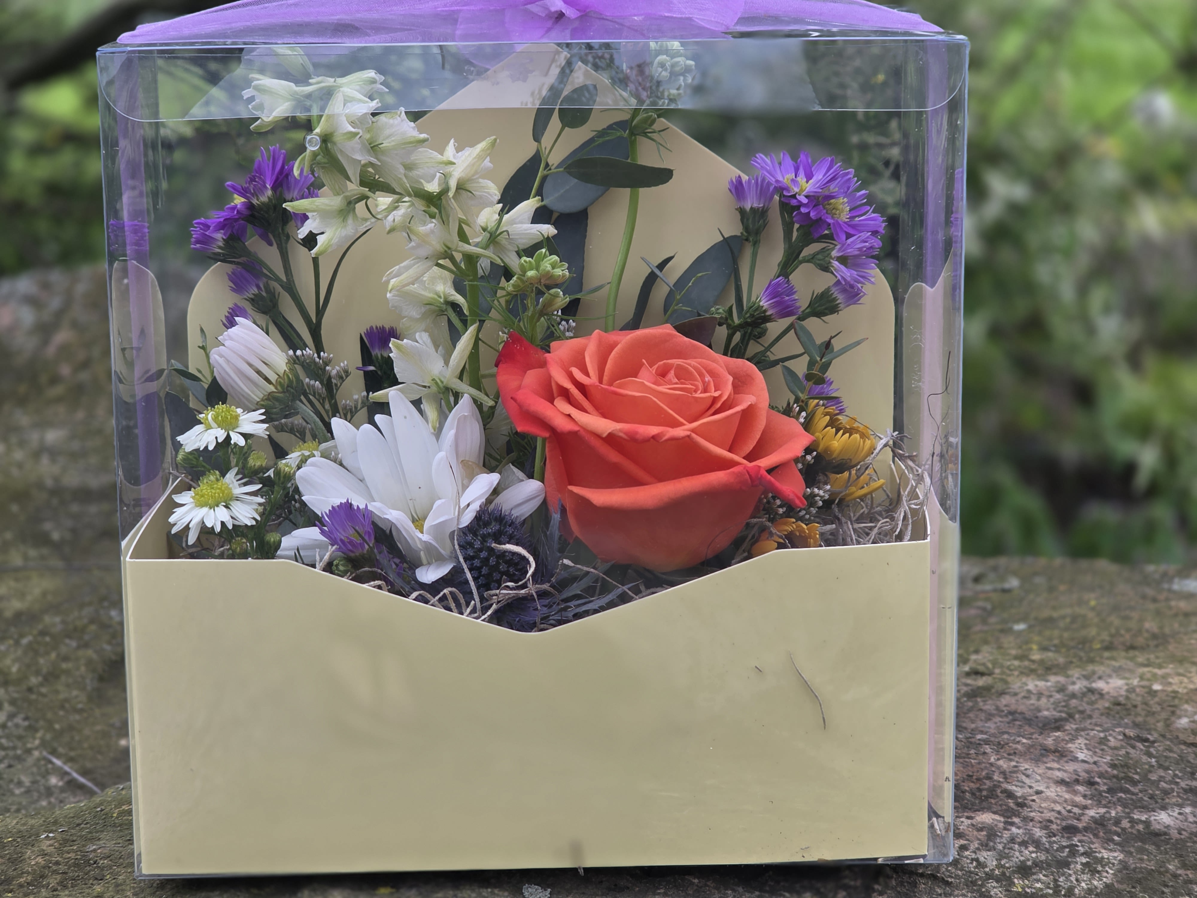 A Wish in Waiting - Why give a bouquet that just sits there when you can give a miracle in a box? A Wish in Waiting is a crystal-clear, boutique display designed to bring the magic of metamorphosis onto a desk, a nightstand, or a kitchen counter. It is a front-row seat to one of nature’s most incredible finish lines.  Each display features a hand-curated arrangement of fresh-cut flowers, providing a beautiful backdrop for the main event. Secured safely to the top of the lid is two live Painted Lady chrysalis—the "wish" that is waiting to take flight.  The clear view allows you to witness the chrysalis as it matures. As it nears the end of its transformation, you'll see it darken and change—a sign that the miracle is just hours away.  There is nothing quite like the moment the butterfly finally pulls itself out, clinging to the lid to dry and expand its wings among the flowers.  Once the wings are strong (usually within 24 hours), take the box to your favorite outdoor spot. Open the lid, whisper your wish, and watch as your butterfly takes its very first flight into the world.   Notes from the Farm: Nature’s Timeline: Most butterflies emerge within 5 to 7 days of being placed in the box. We select the chrysalis at the optimal stage so you can enjoy the flowers while you wait for the "big reveal."  Care is Simple: No feeding or watering is required for the butterfly while it’s in the box. Just keep the display out of direct sunlight and away from drafts.