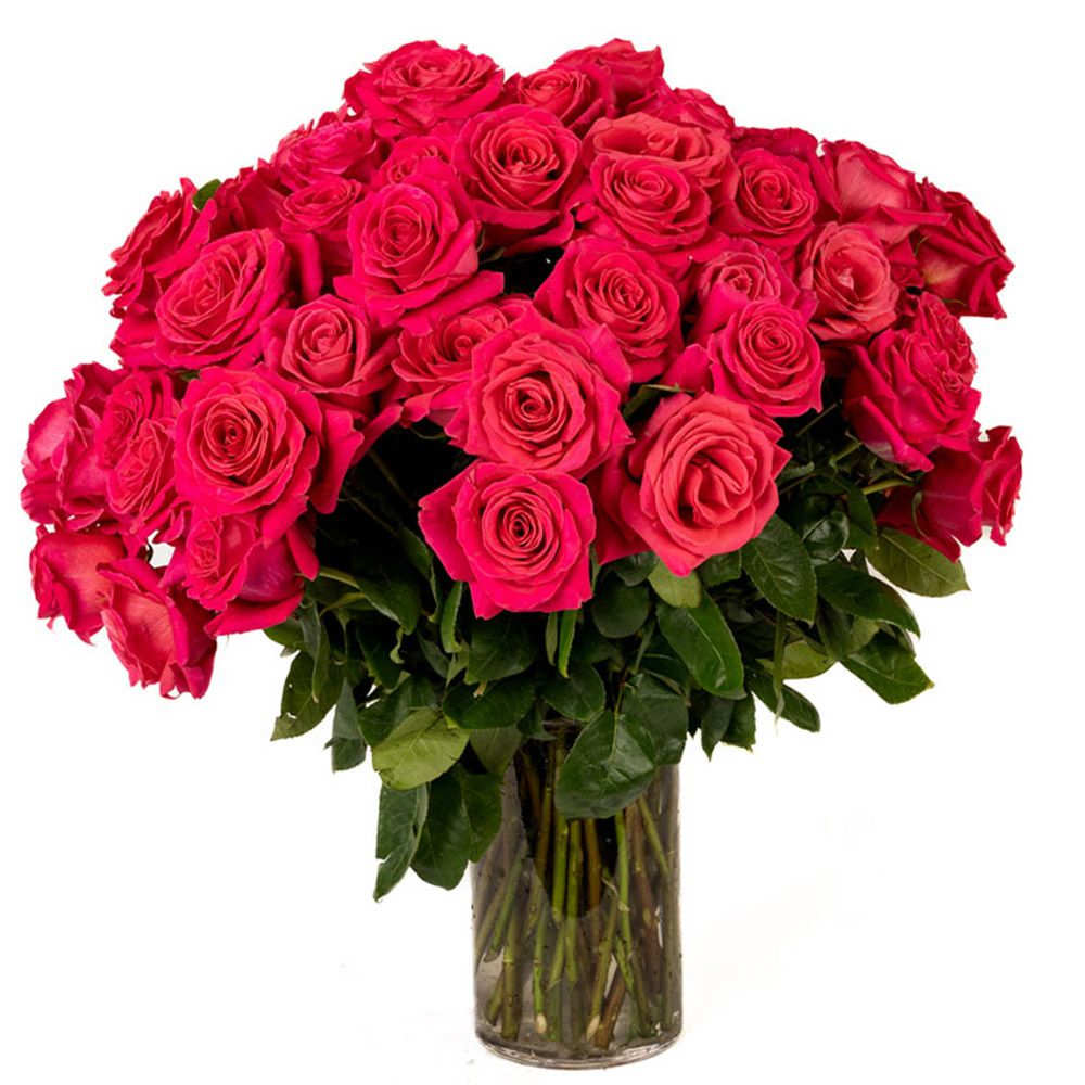 Large bouquet of hot pink roses displayed in a clear glass cylinder vase