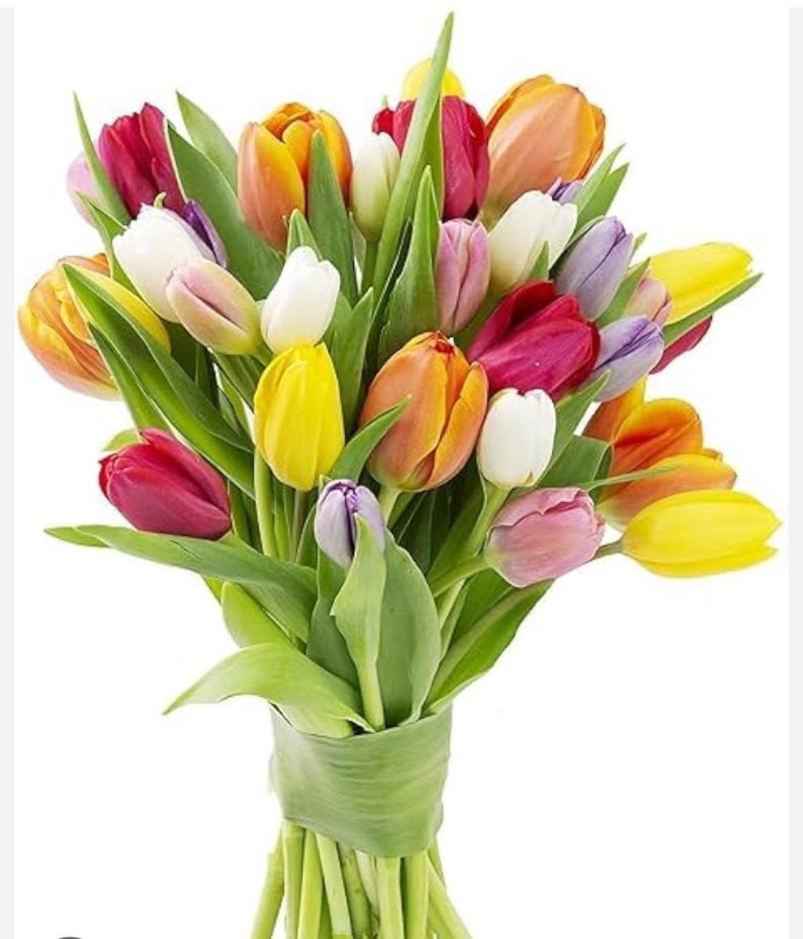 Spring Mixed Color Tulip Bouquet - Beautiful bouquet of fresh tulips in a mix of colors — wrapped in elegant pastel paper. Perfect for expressing love, friendship, or joy on any occasion. Tulip colors may vary depending on availability, while maintaining the same value and quality.