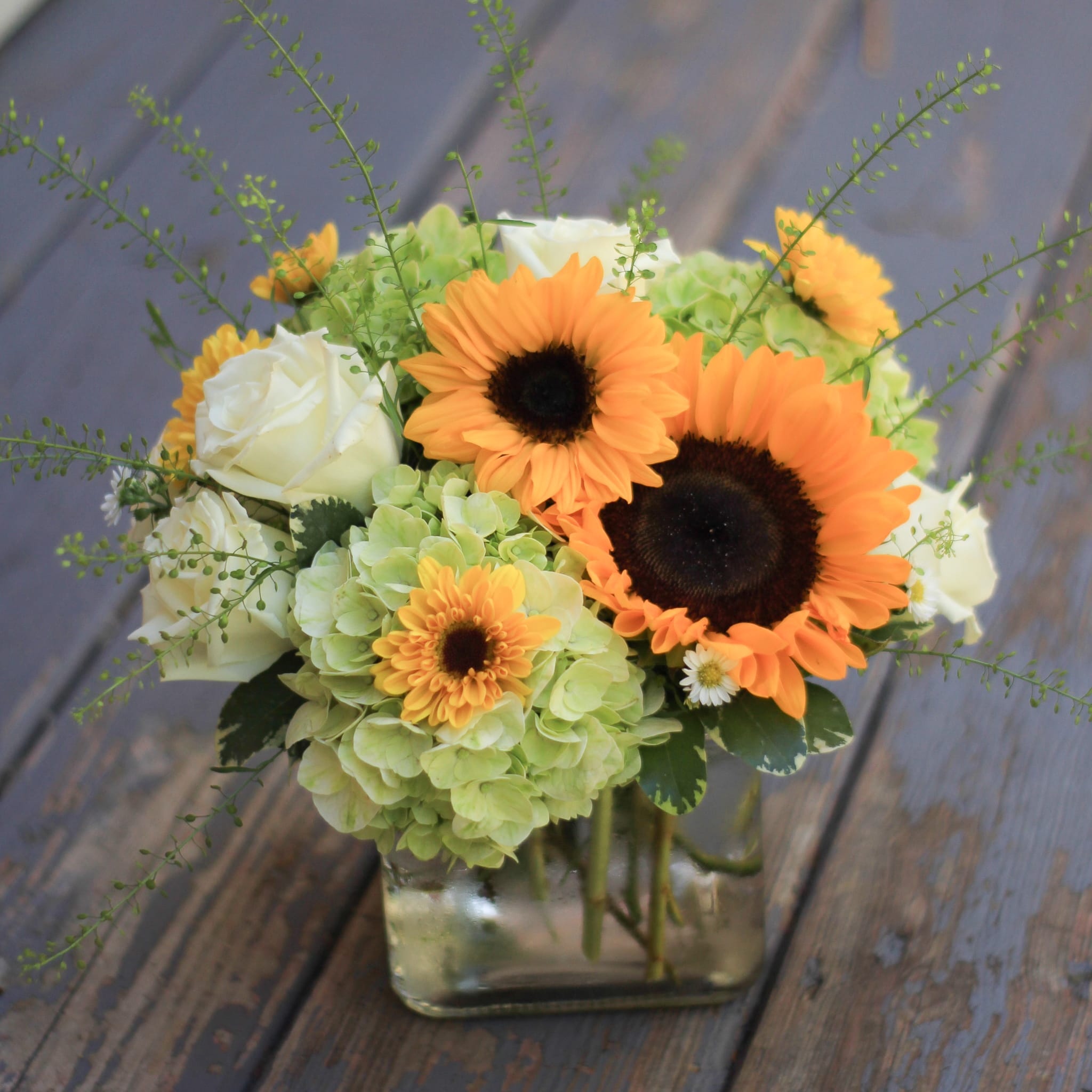 Sunny Cube - Send sunshine with sunflowers as the focal flower of this cute design. Sunflowers are nested in a bed of mojito hydrangeas with cream, white or yellow roses and carnations. Accent flowers may include wax flower, solidago, mimos acacia, or penny cresss.