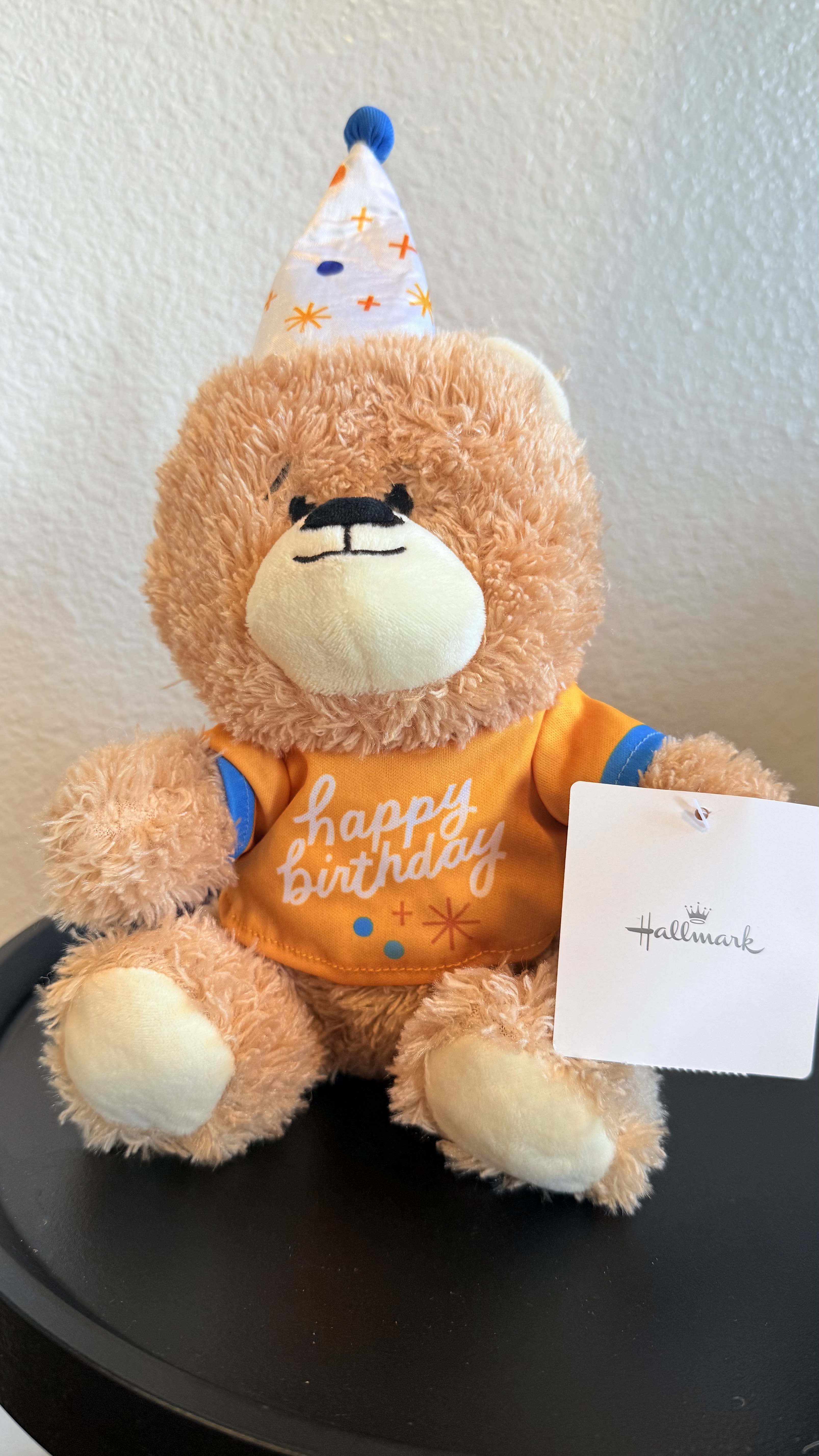 Plush teddy bear wearing a birthday shirt and party hat