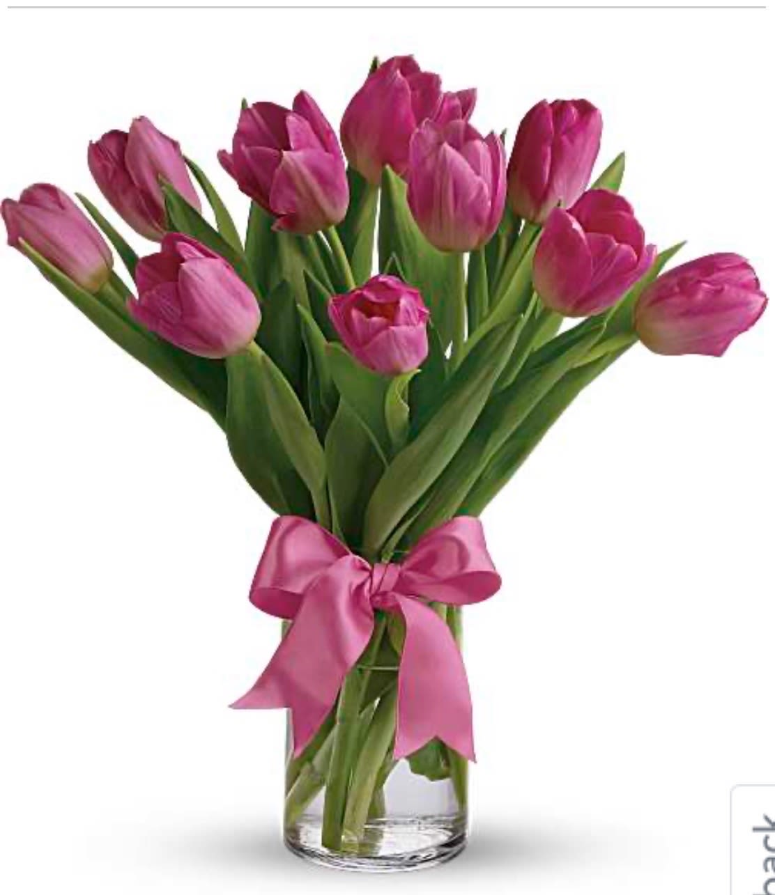 tulip - A pink tulip is a soft and graceful bloom that symbolizes affection, happiness, and gentle admiration. With its smooth petals and delicate color, it brings a fresh, uplifting feel—perfect for expressing sweet, heartfelt senti
