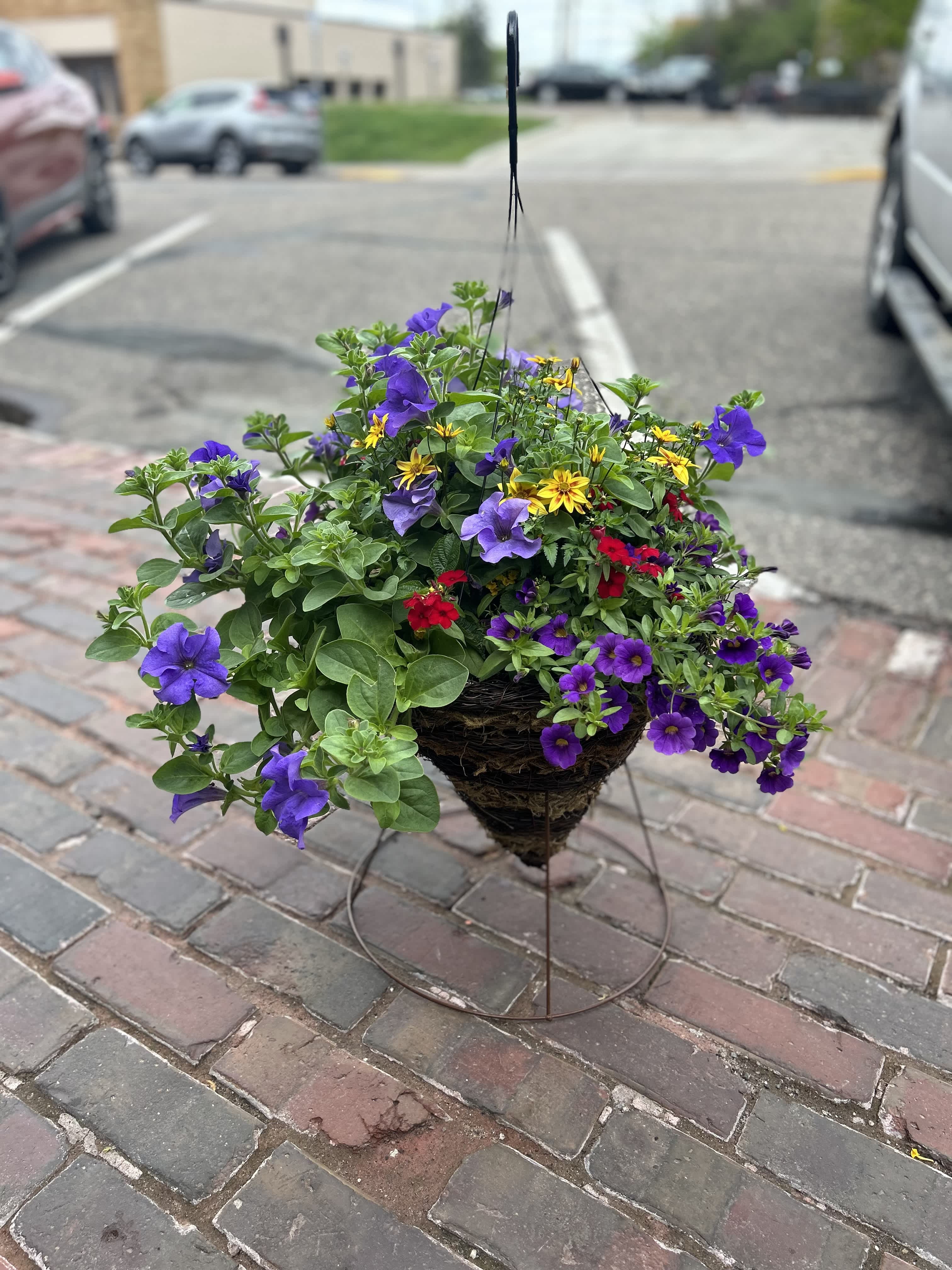 Hanging basket of purple, yellow, and red flowers in a wire stand