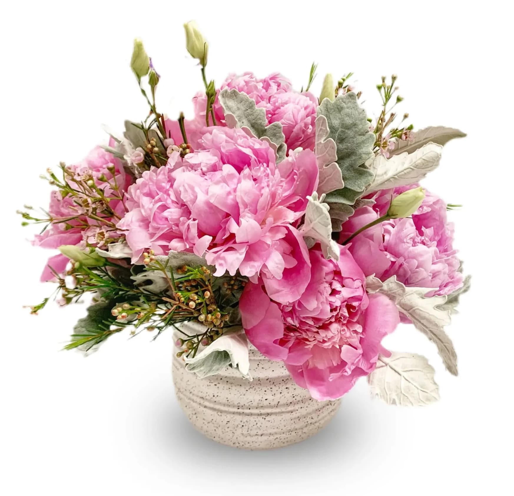 Pink peonies in a speckled ceramic vase with silvery foliage
