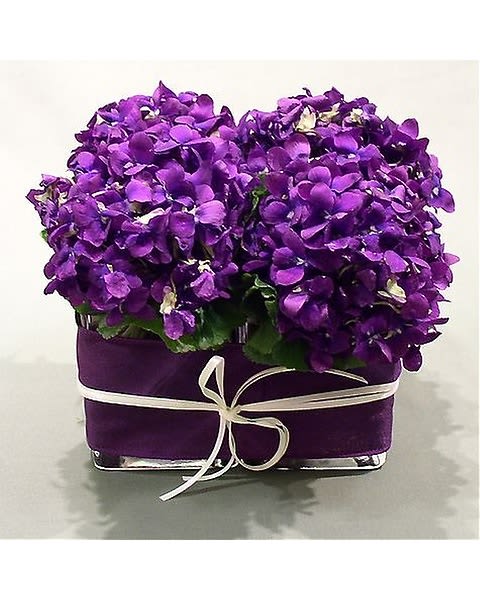 Lavendar Love - Lush lavender blossoms in a contemporary square vase lined with adorning lavender ribbon. A great gift for any occasion. 