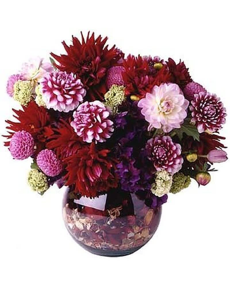 Round vase arrangement of red and pink dahlias and mums with decorative filler in the base
