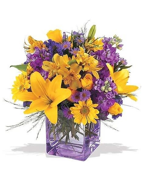 Purple Passion - Lilies, roses, stock, monte casino, daisies and more in a clear glass cube vase is a great any day present for that special person. 