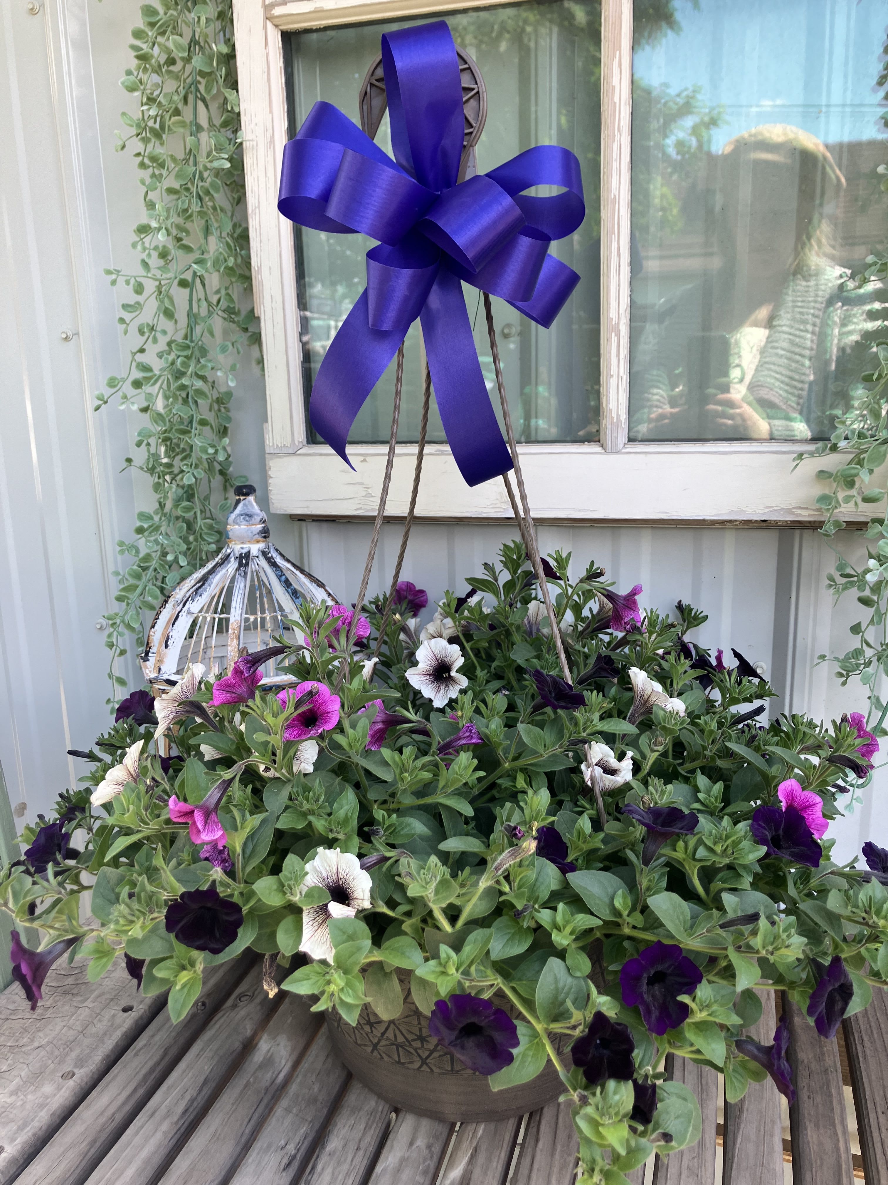 Outdoor Hanging Basket Purples  - Available now, hanging basket of live bright blooms. Colors will vary