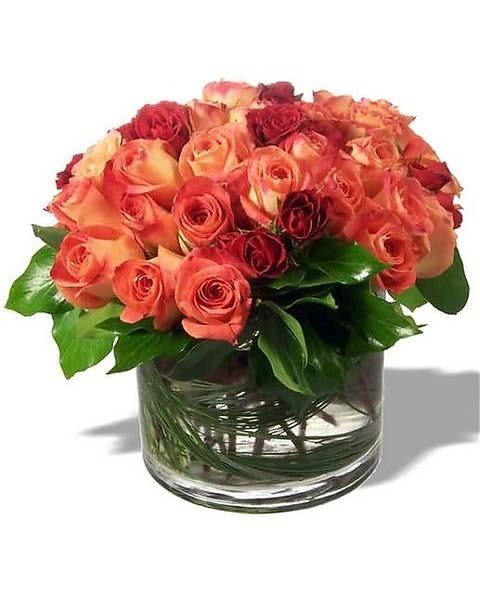 Rose Sensations - An arrangement with an abundance of roses creating a magnificent mound of fragrant flowers in a clear short round bowl. This glamorous arrangement is simple yet breathtaking. Perfect for any special occasion. Item display is extraordinary version.  