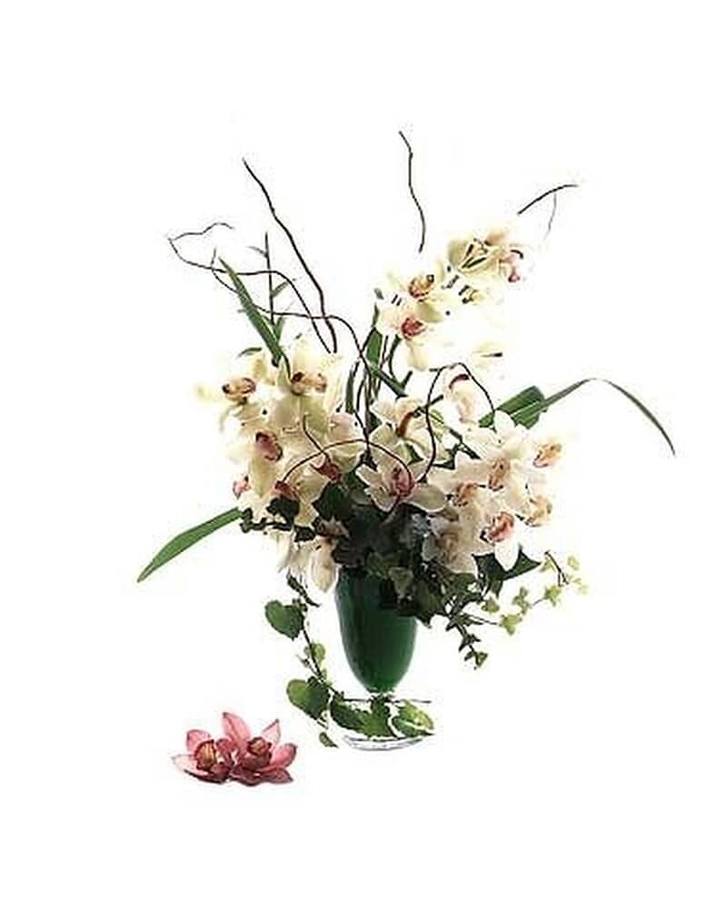 Tall arrangement of white cymbidium orchids in a green glass vase with two pink blooms at the base